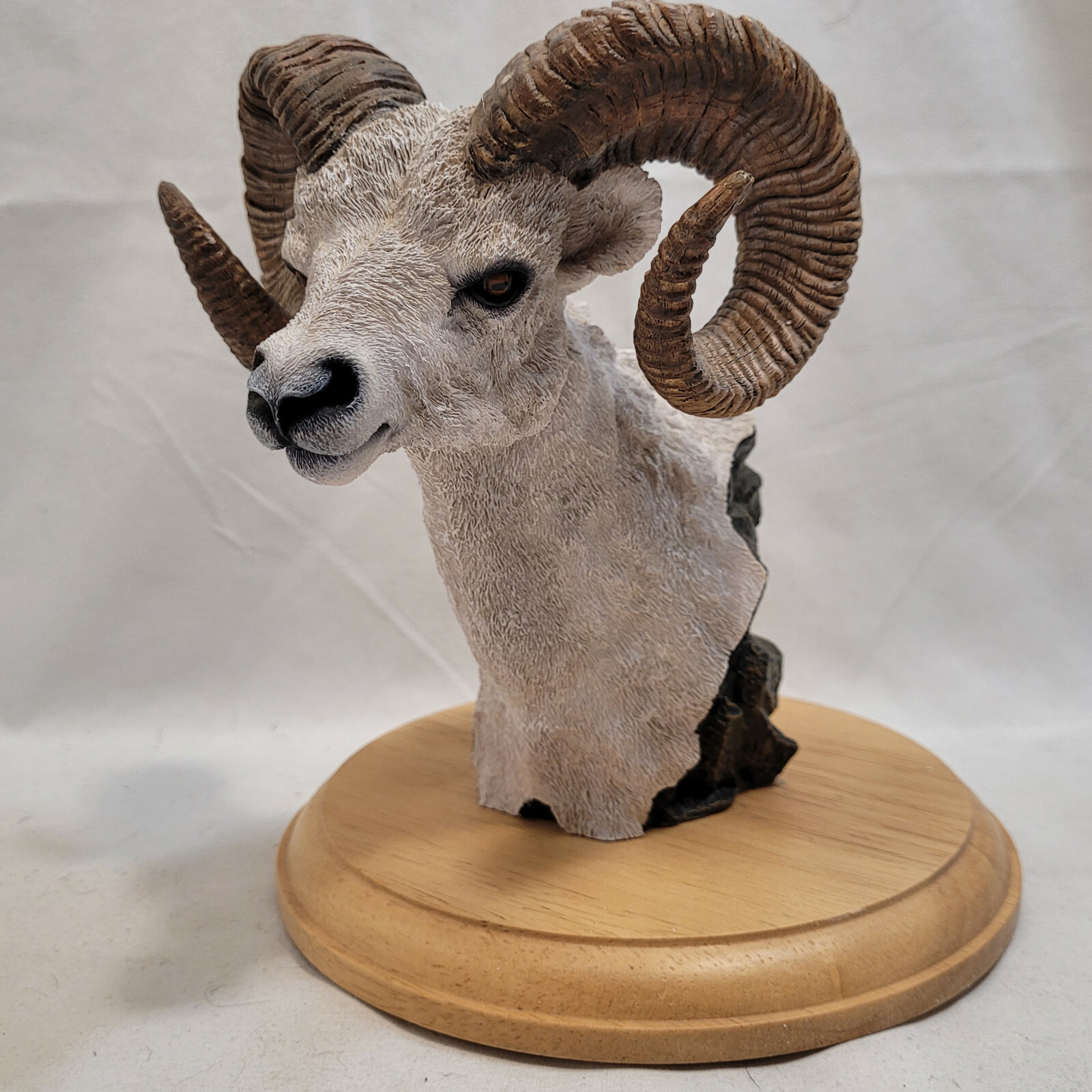 Simpkins Animal Dall Sheep / Ram Bust # 51476RB Wood Base 7″ Tall