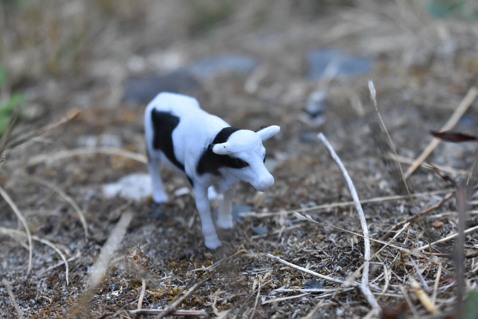 Cow, Dairy Realistic Small Toy Model Plastic Replica Farm Animal Kids 2.5″ F1845