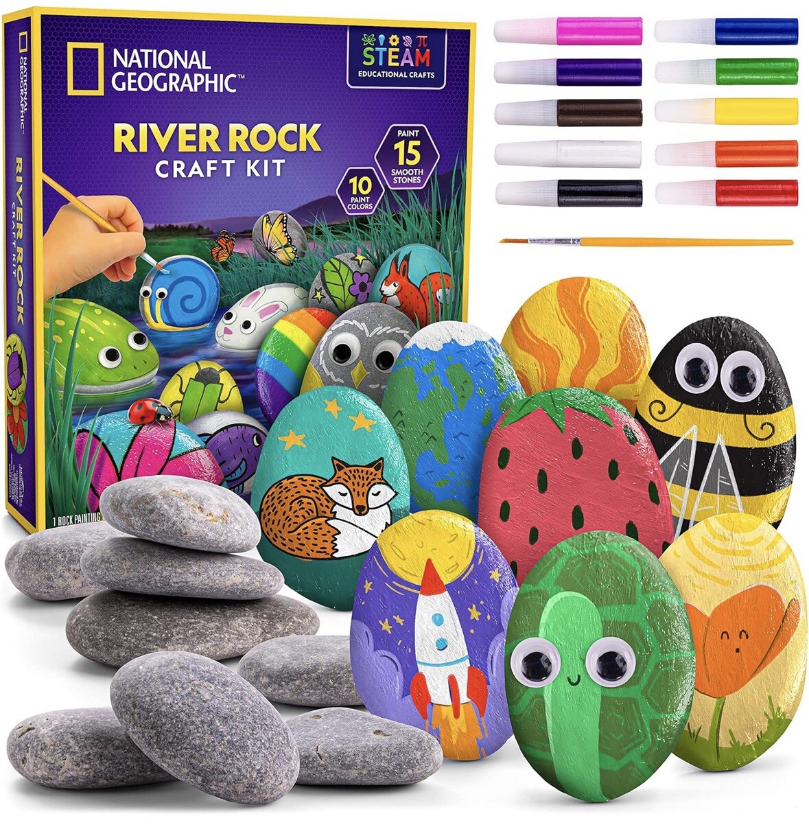 National Geographic River Rock Craft Kit Everything Included STEAM Educational