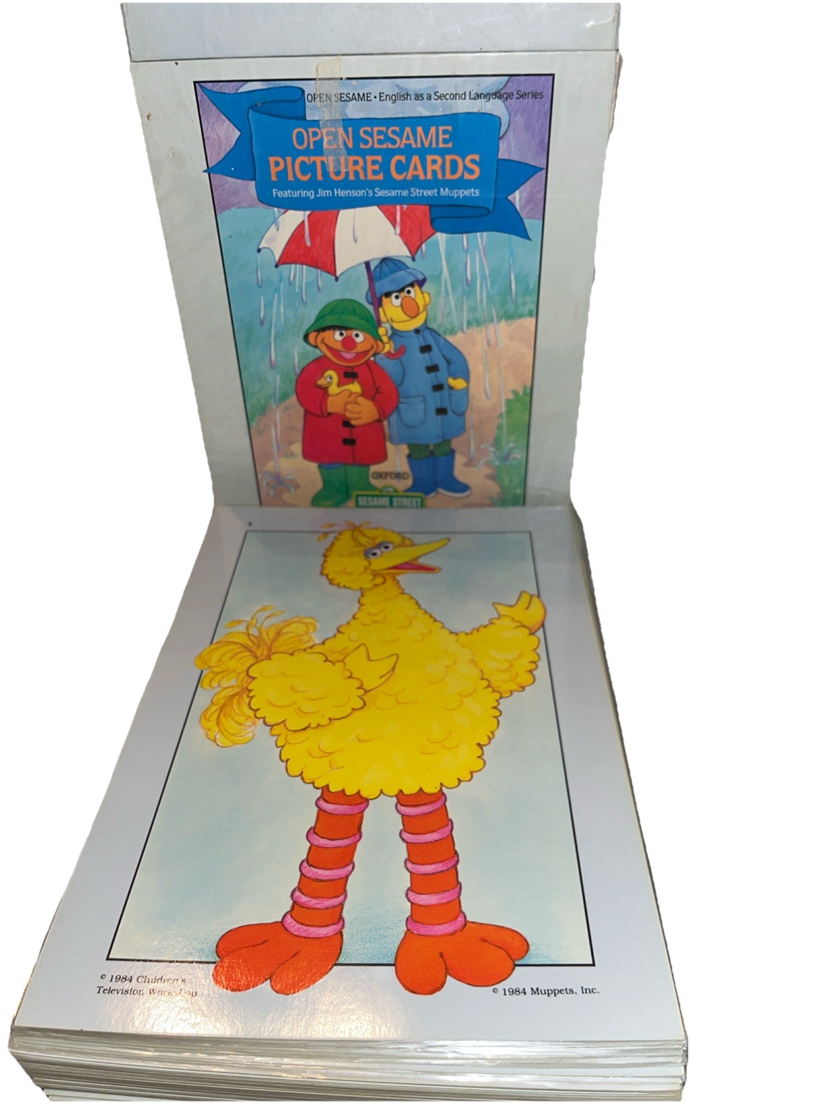 Open Sesame Large Picture Cards English As Second Language 75 Double Sided A5