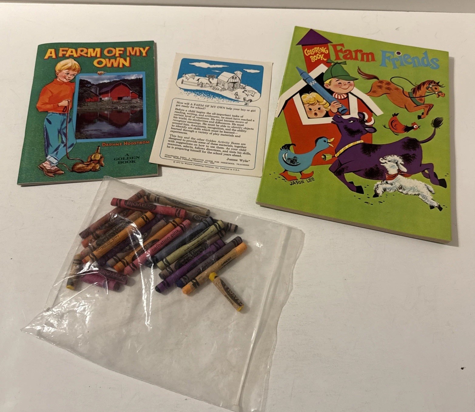 Vintage Golden Pre-School Learning Fun – A Farm of My Own (1971) – Unpunched