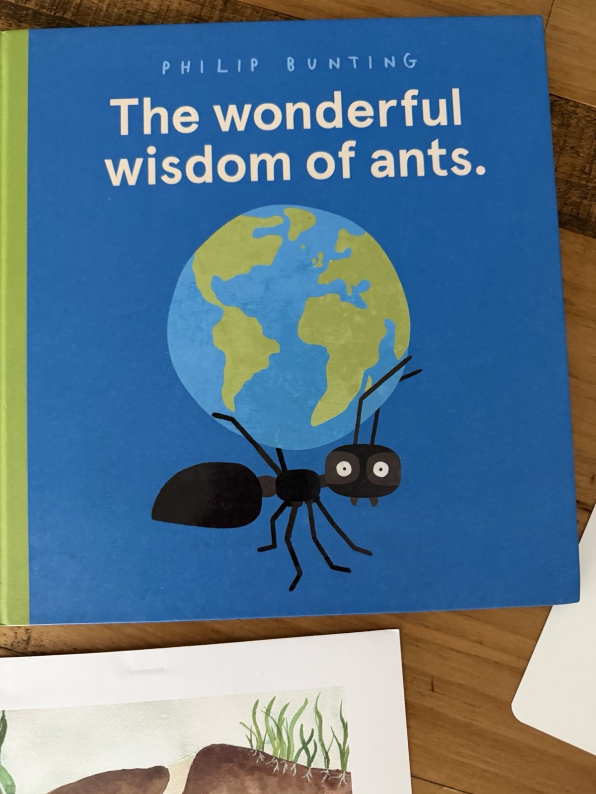 Ant Study Hands-On Learning Open-ended Learning (bundle) ant sensory