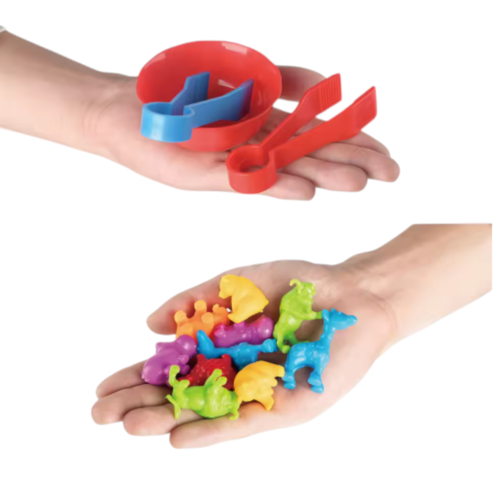 Animal Sorting Toy Color Matching Math Learning Set for Kids Family members