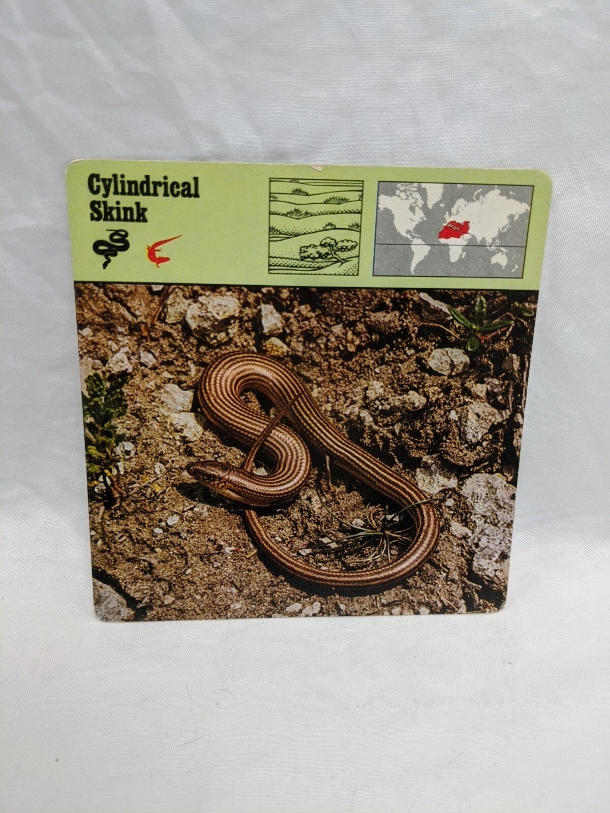 Lot Of (26) 1975 Rencontre Reptiles Education Cards