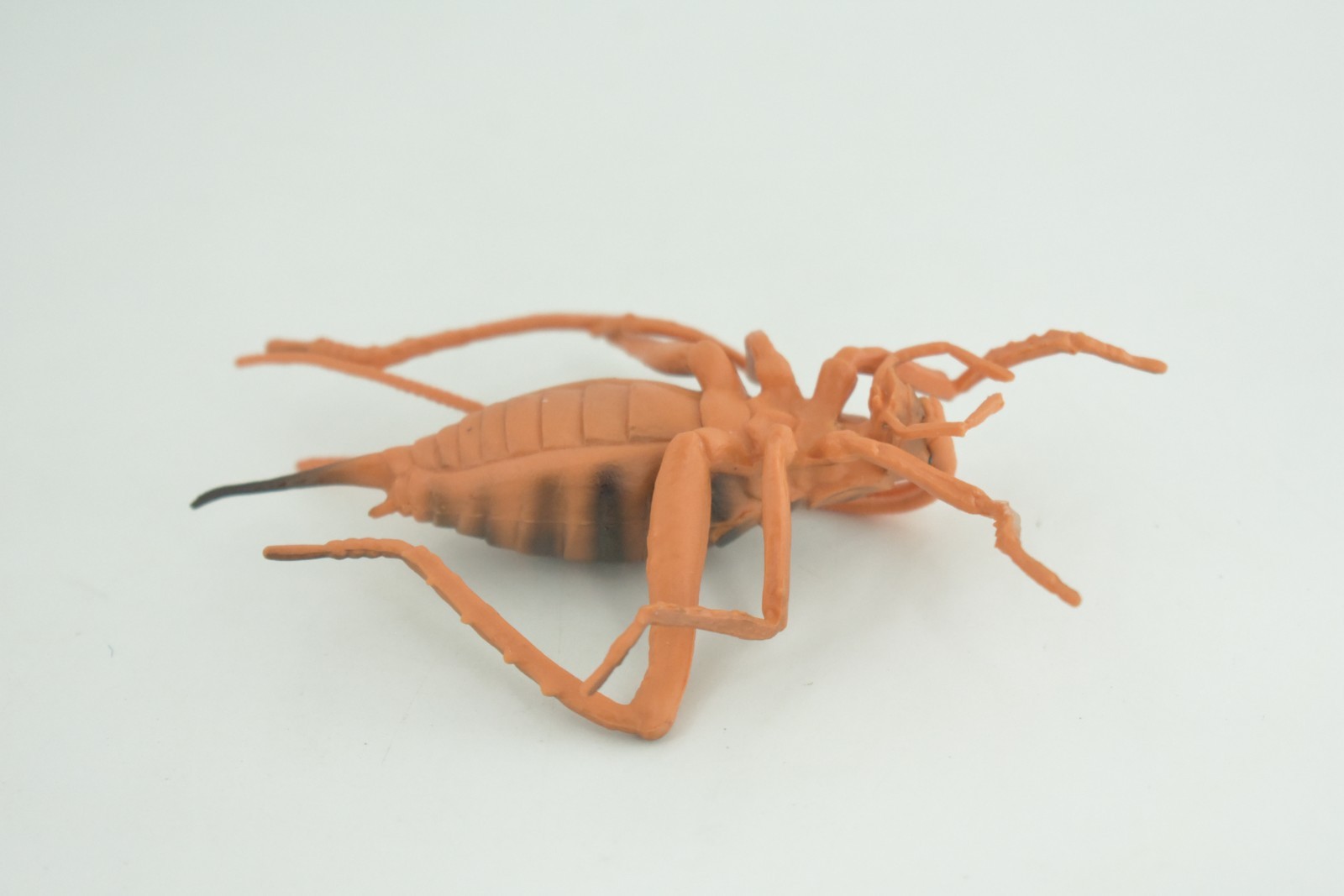 Cricket Toy, Hand Painted, Hard Rubber, High Quality, Realistic Bug, Gift CH1025