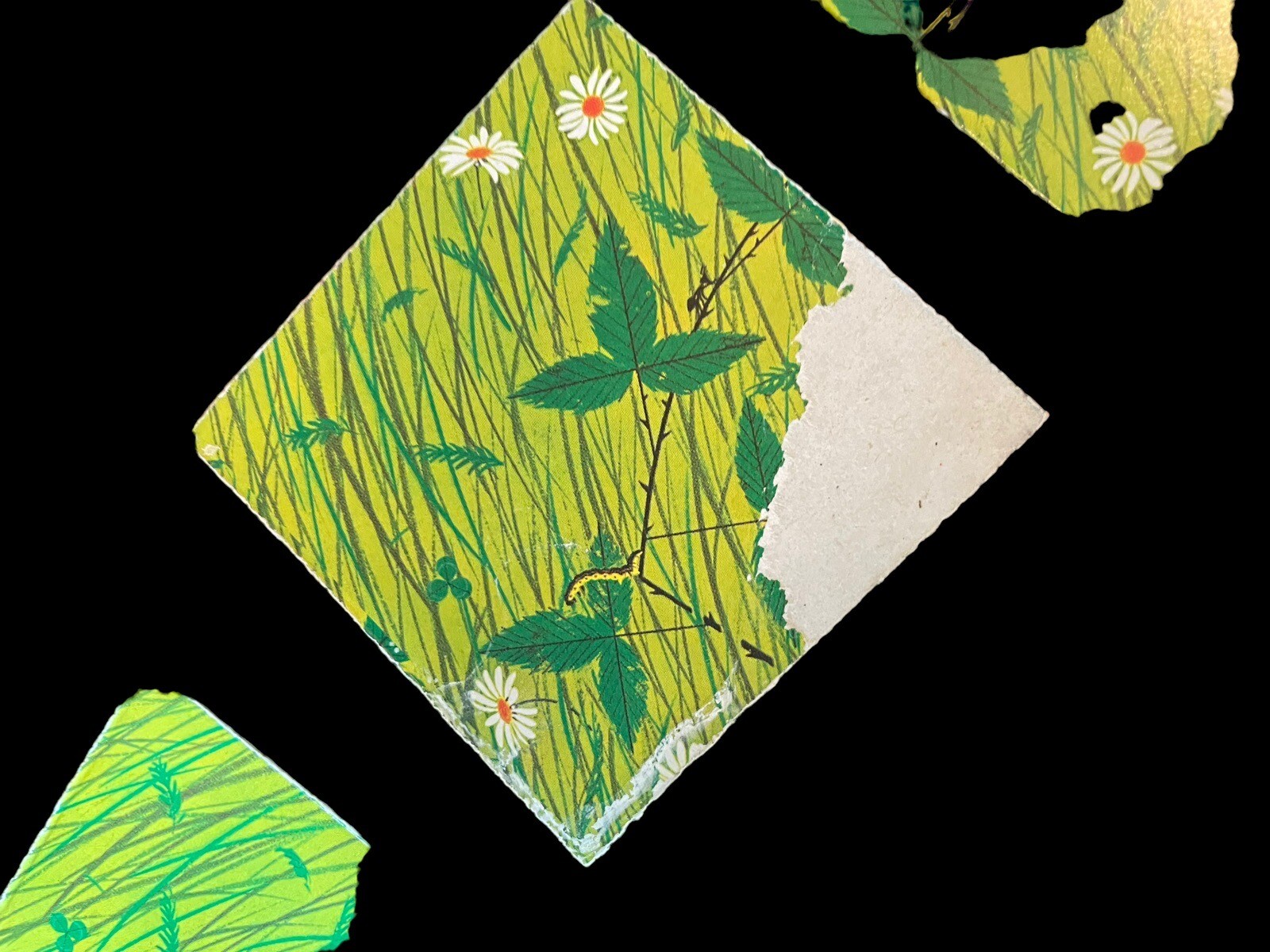 American Artist Charley Harper Memory Game Ammo Books Nature Scenes Rare MCM