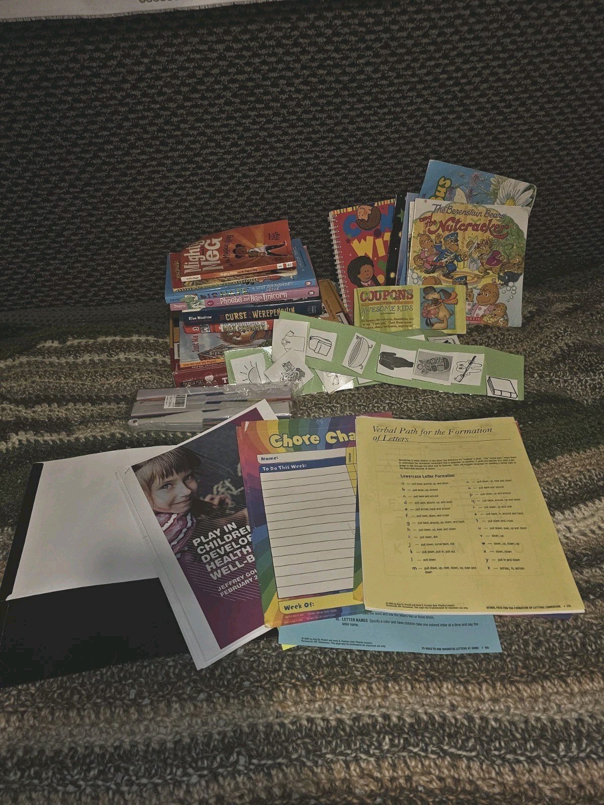 Homeschool Educational Elementary Lot Books Alphabet Ages 4-11