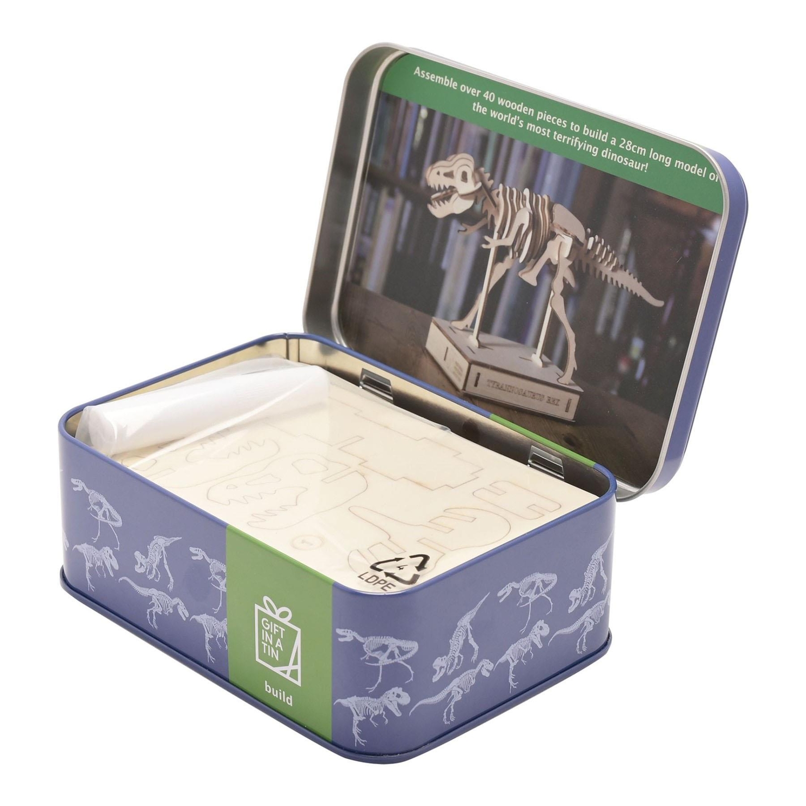 Gift in A Tin Craft / Activity Set Age 6 T-Rex