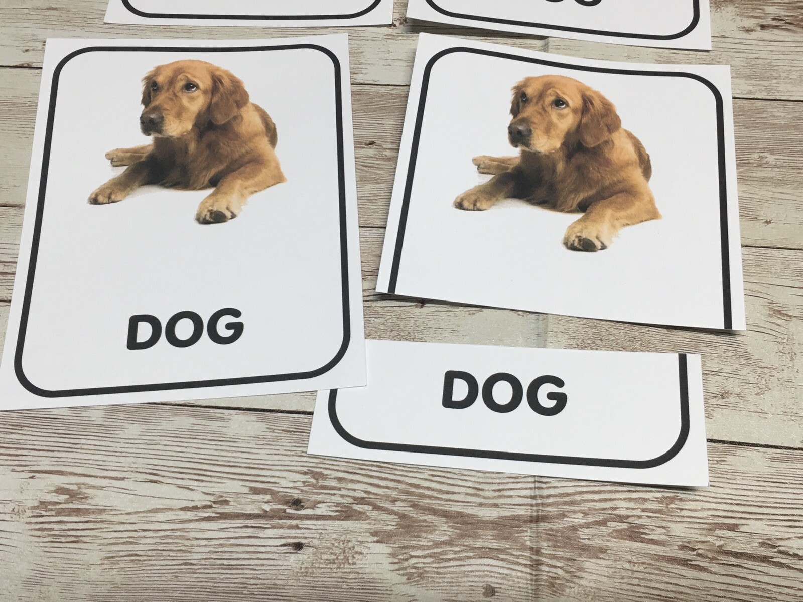 CVC WORDS – Three Part Card set – Cards for Learning Center – Teaching supplies