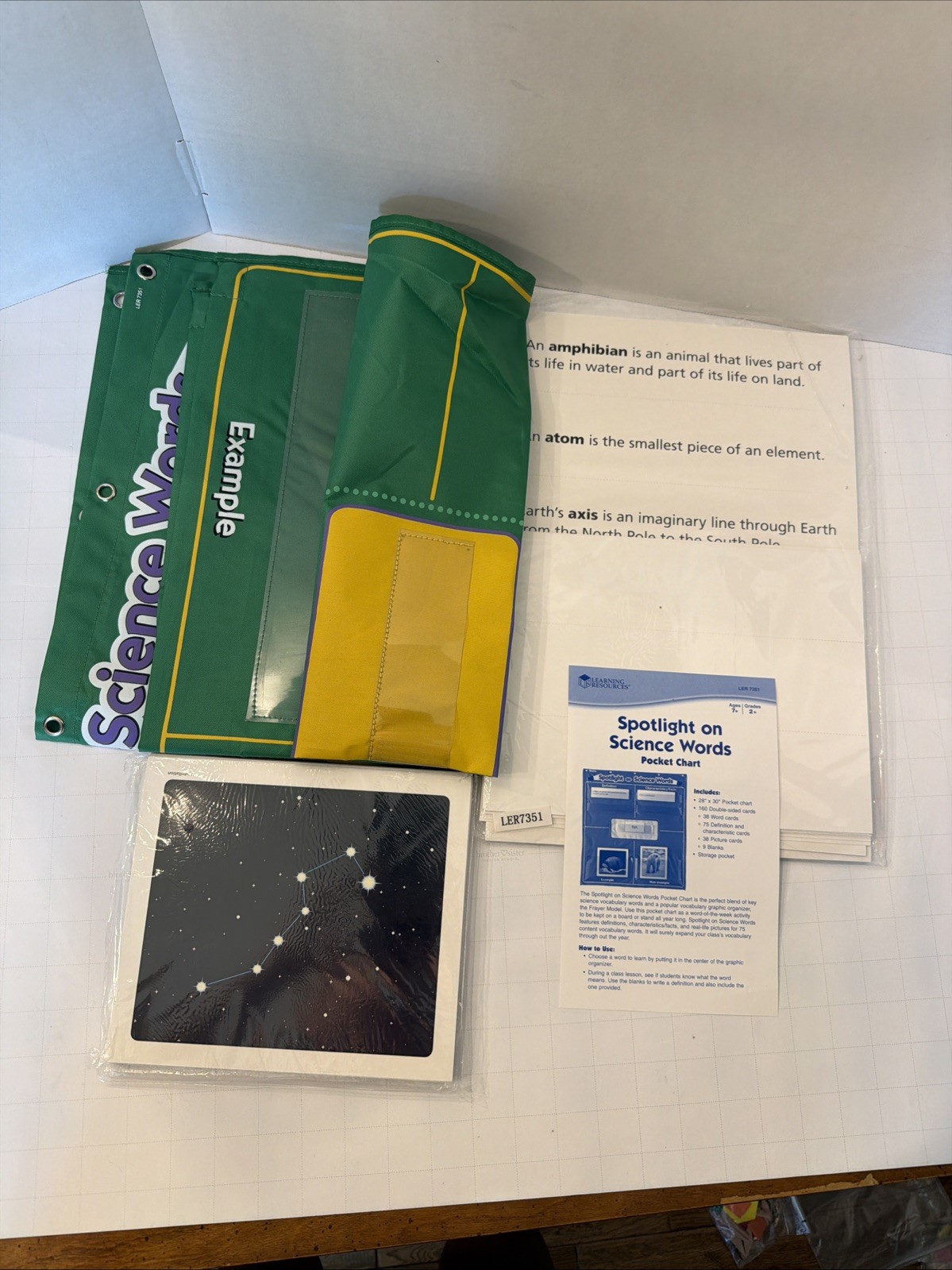 Learning Resources Spotlight On Science Words Pocket Chart