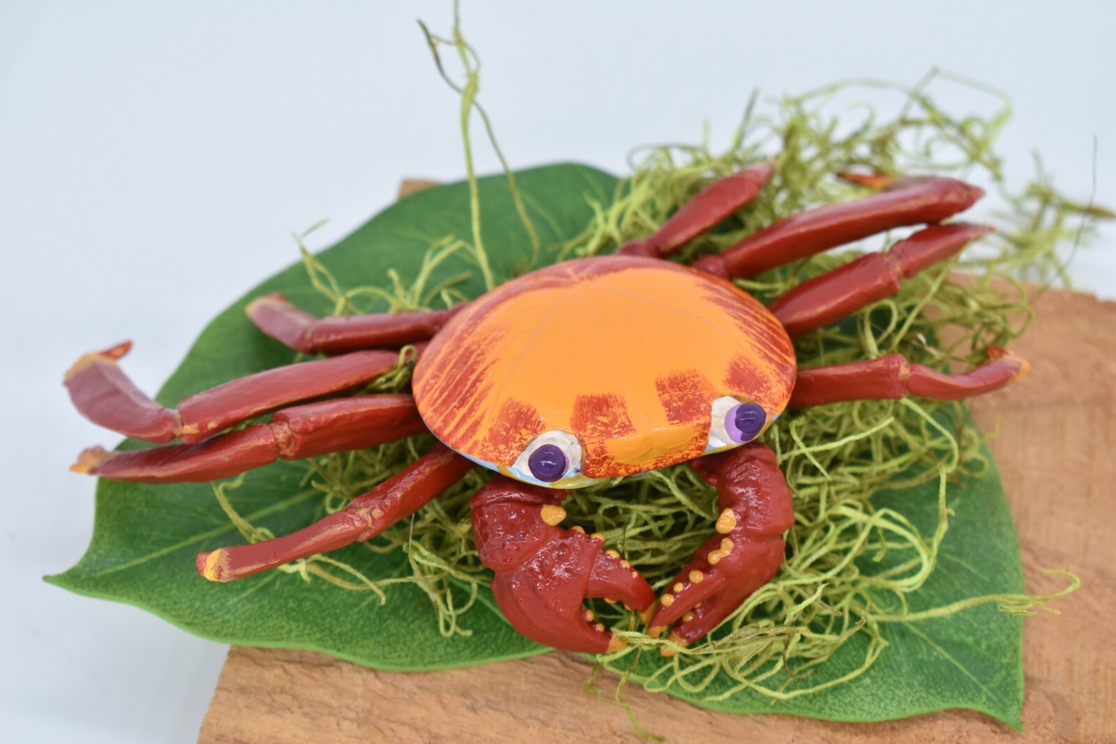 Crab Sally Lightfoot, Galapagos, Museum Quality Replica 7″ – F1769 B142