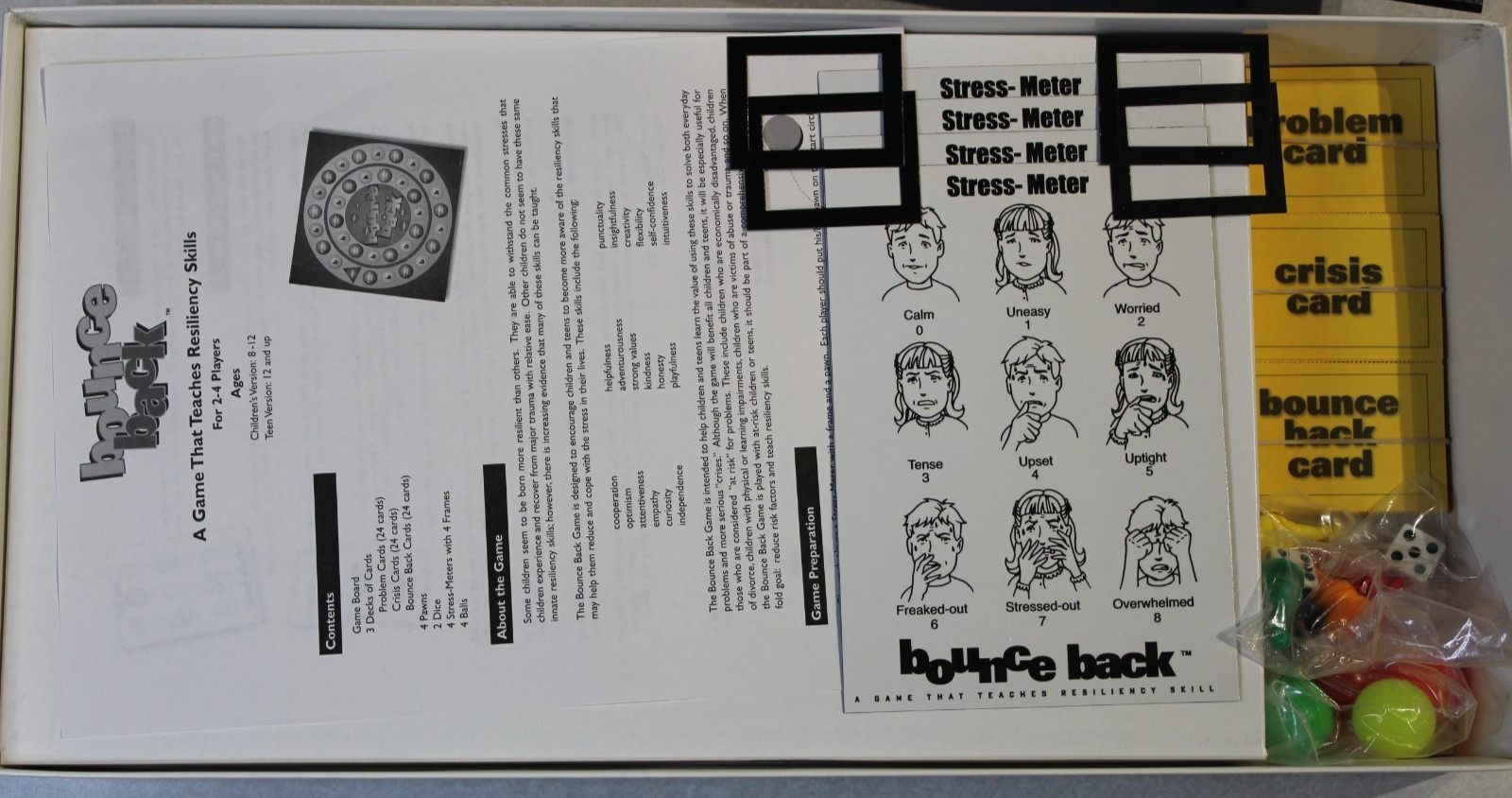 Homeschool Childswork/Childsplay No More Teasing Student Interactive Board Game