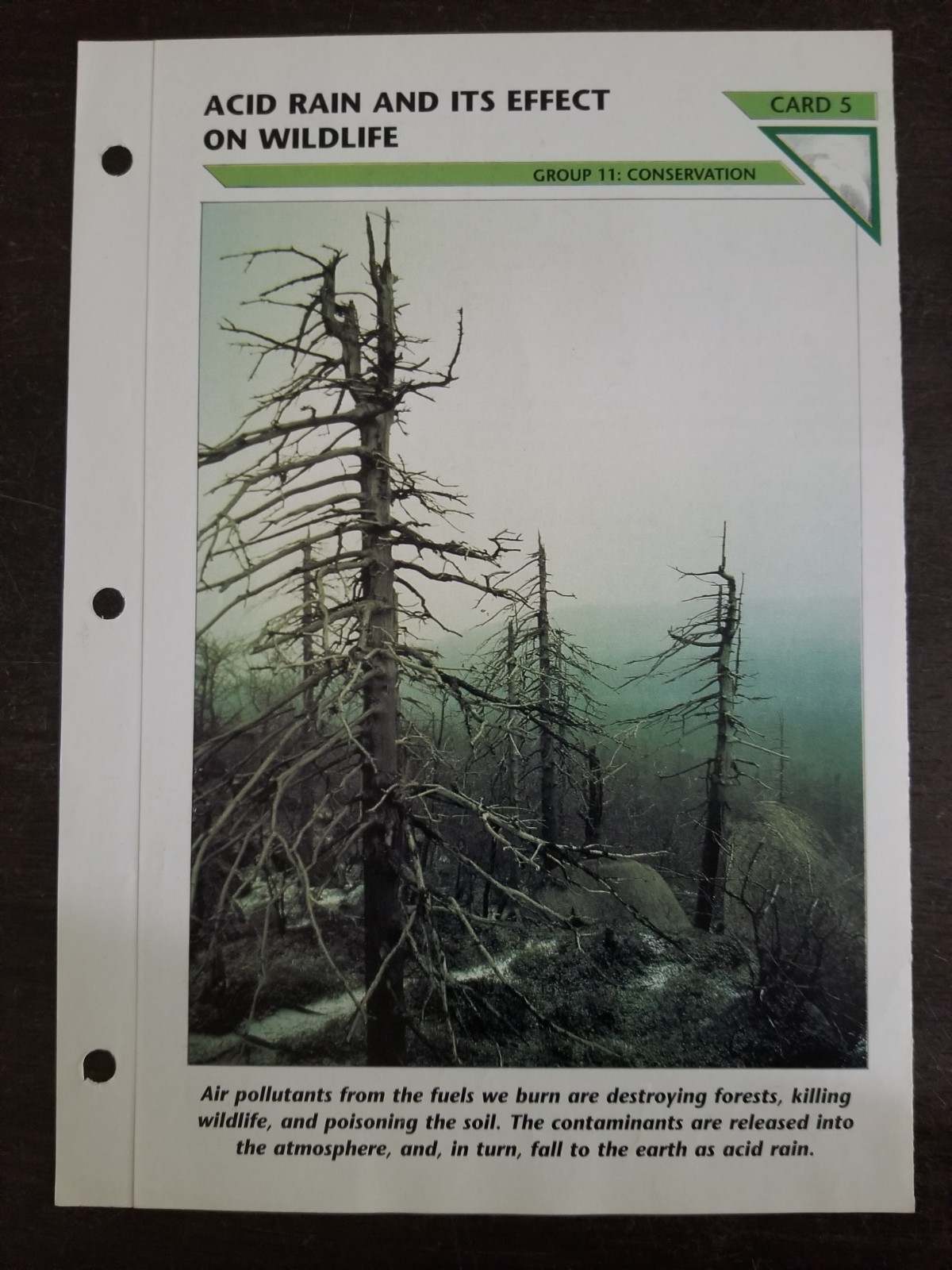 Acid Rain Its Effect on Wildlife Fact File Card Conservation Home School 11.5