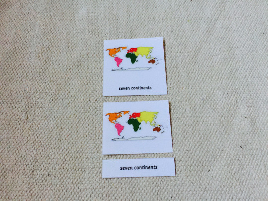 Montessori 7 Continents 5 Parts Cards