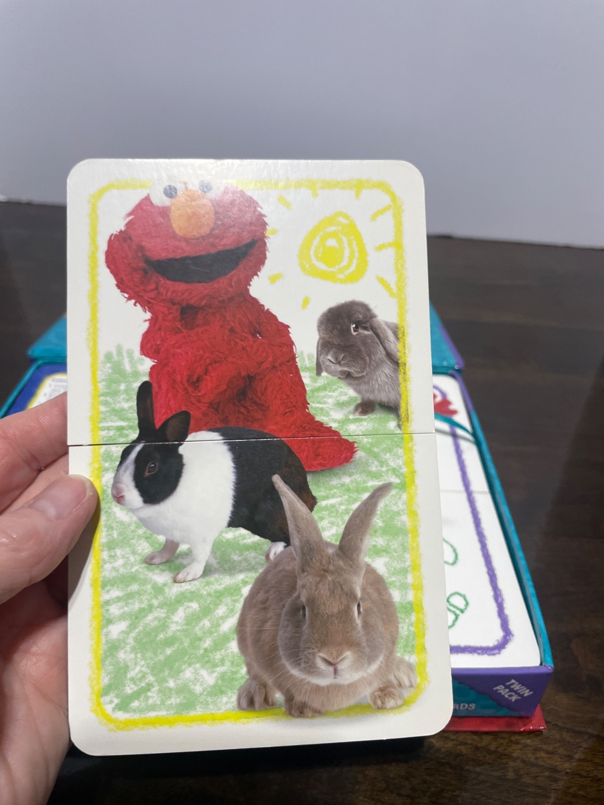 Sesame Street Elmo’s Word flash cards Your body and Pets