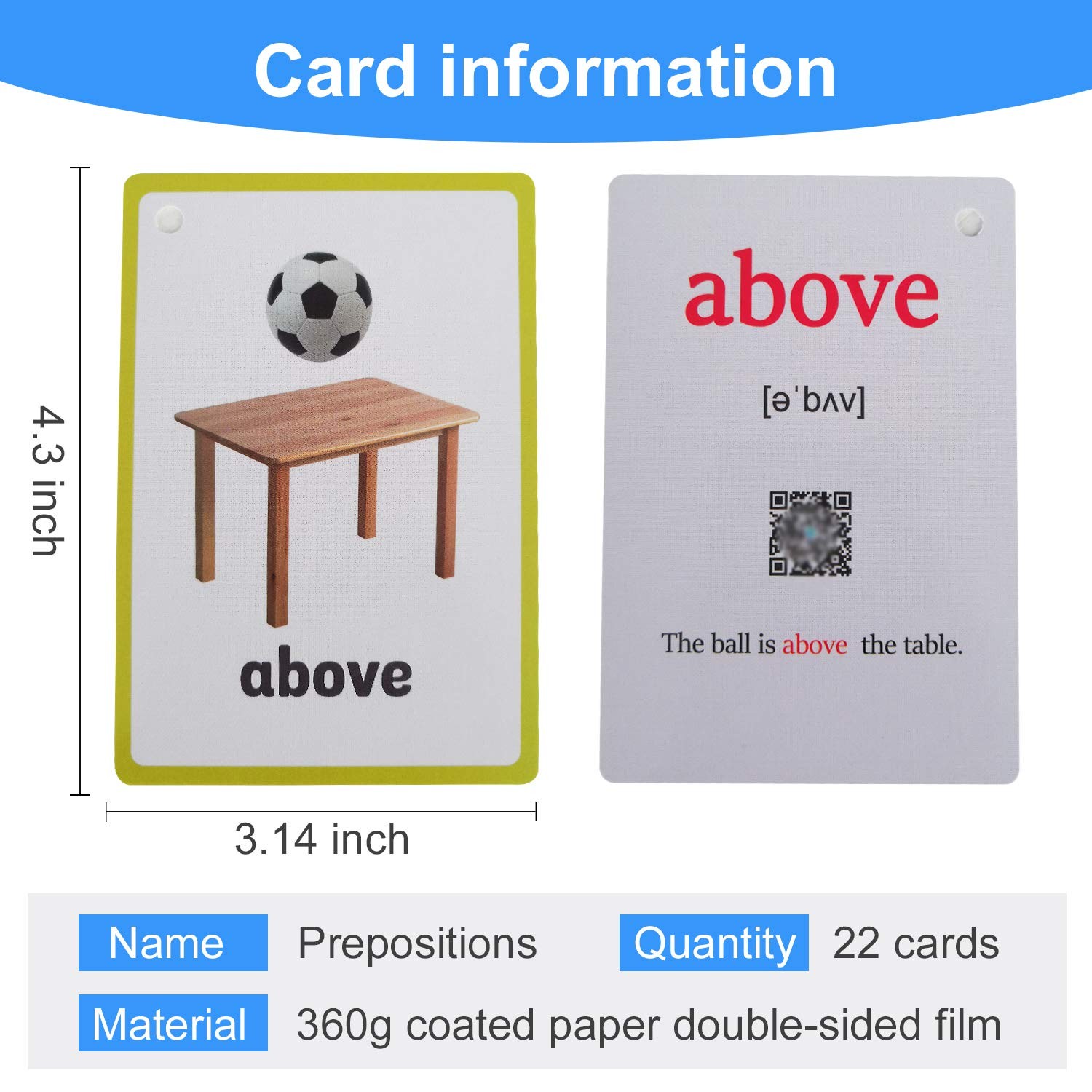 Richardy Toyssports/Instrument/Classroom/Prepositions Flash Cards English Kids