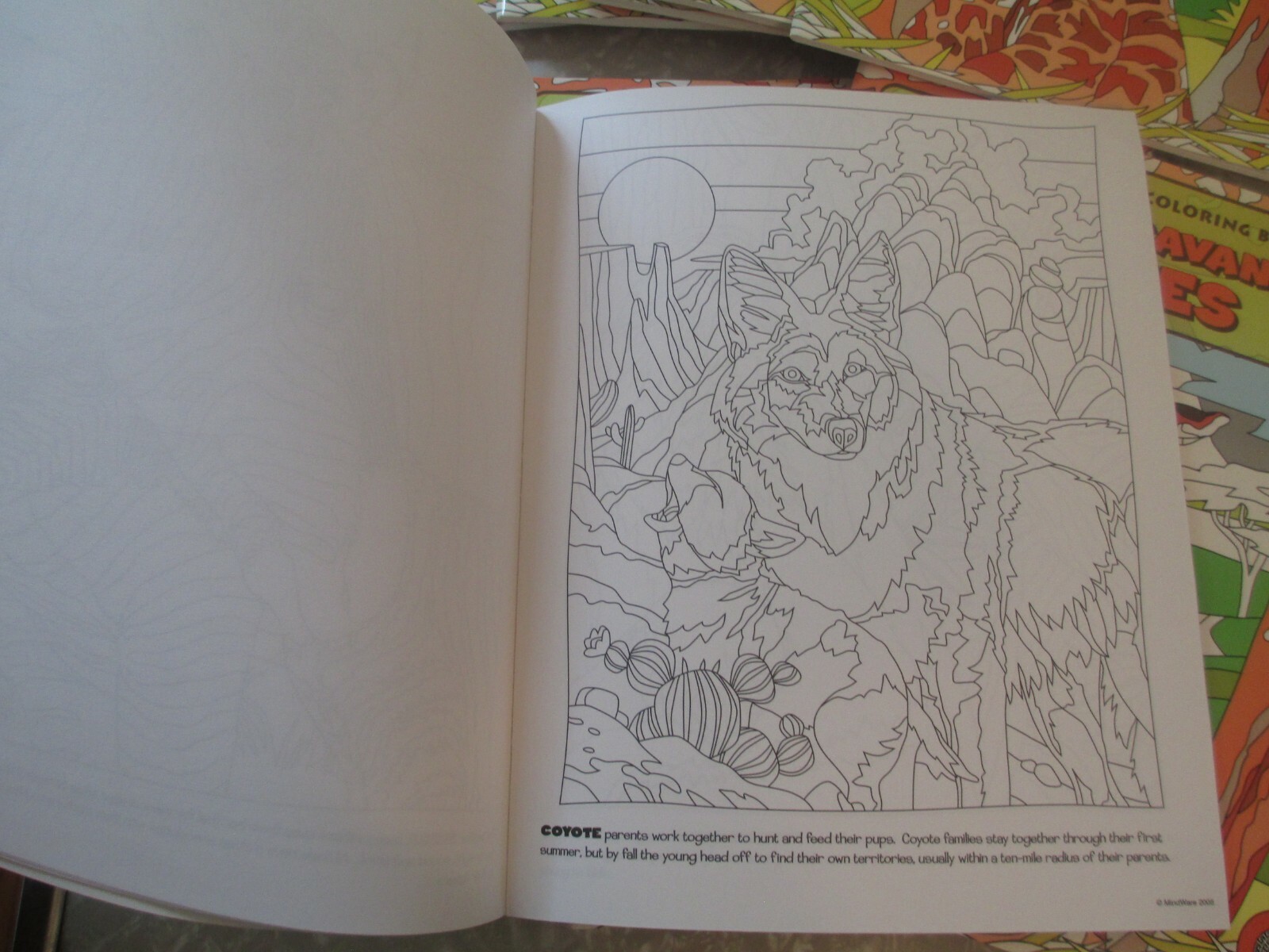 New MINDWARE Brainy Toys lot of (14) Intermediate Coloring Books African Animals