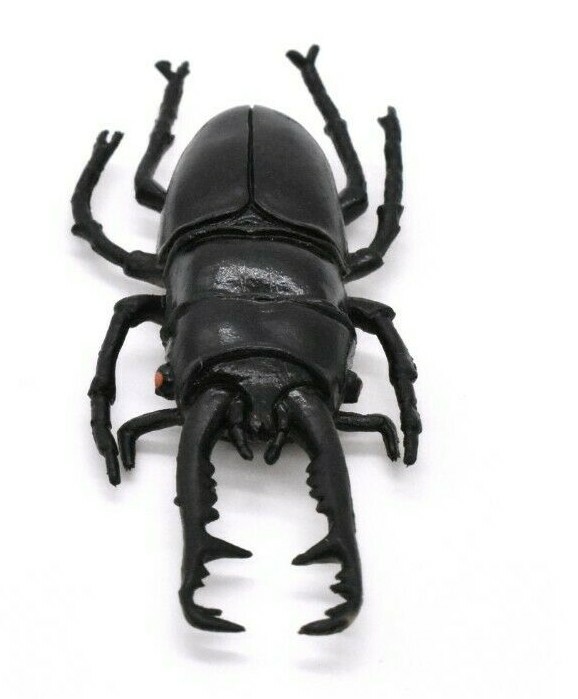 Stag Beetle, Very Nice Rubber Reproduction 2 3/4″ CWG07 B13