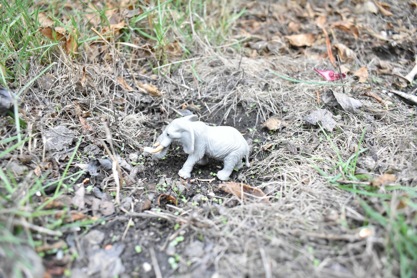 Elephant, African, Plastic Toy Animal, Kids Gift, Realistic Figure 2.5″ F3542