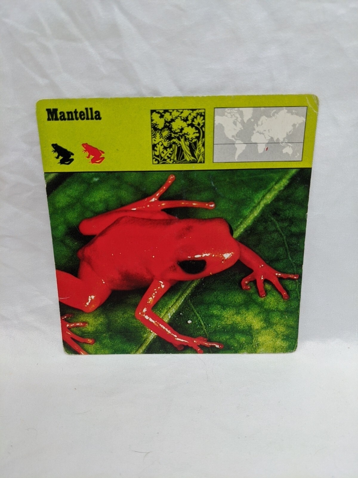 Lot Of (10) 1975 Rencontre Amphibians Education Cards