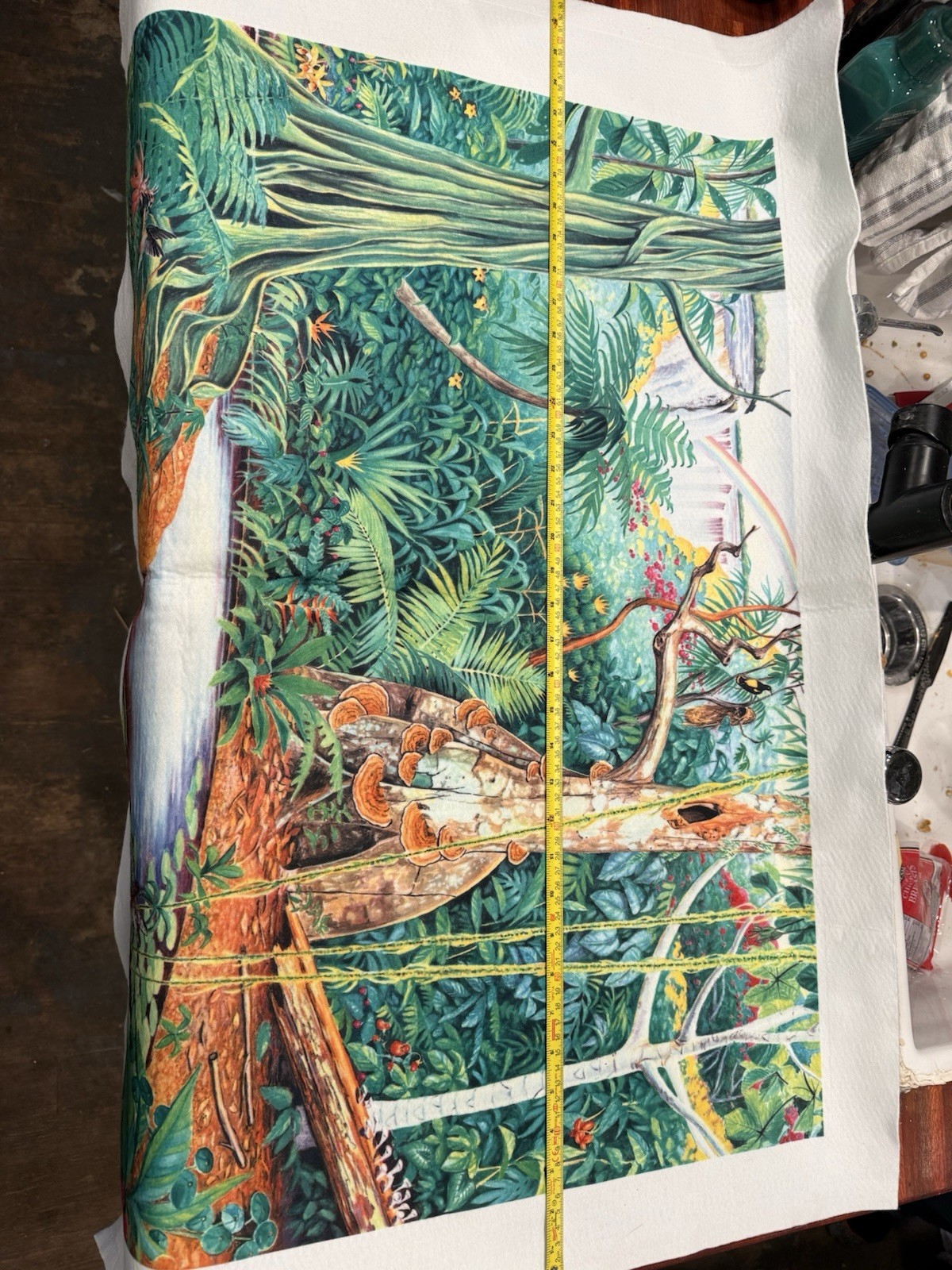 Felt Story Telling Background Of Jungle, No Animal Pieces