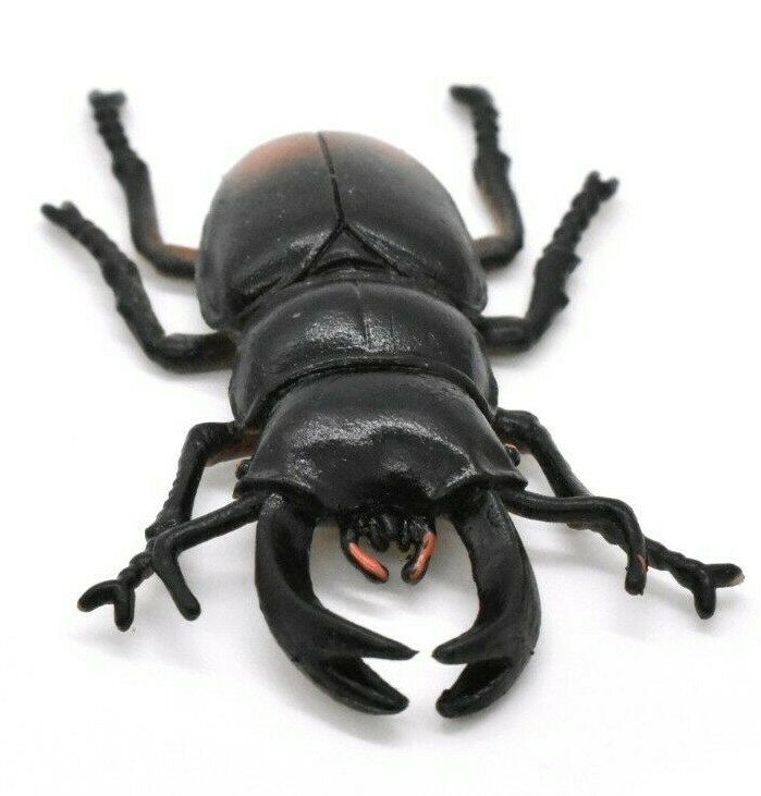 Stag Beetle, Very Nice Rubber Reproduction 2 1/2″ CWG06 B13