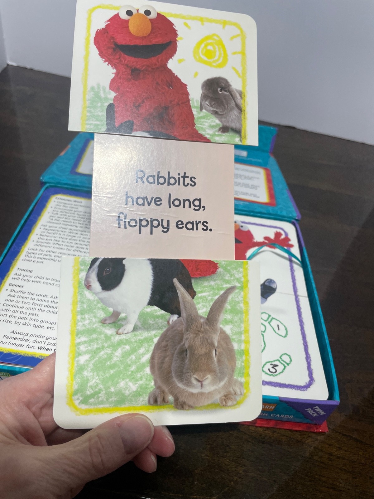 Sesame Street Elmo’s Word flash cards Your body and Pets