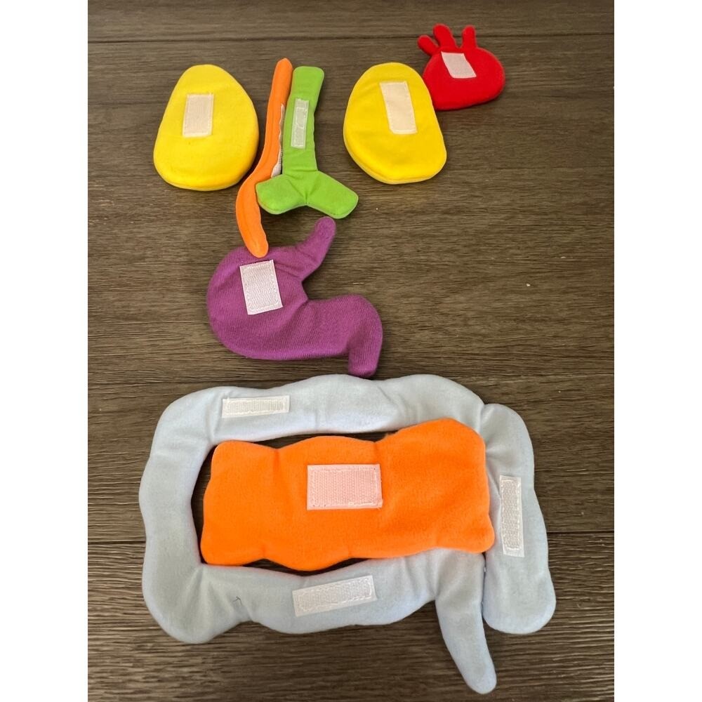 Excellerations Organ Replacement Parts for Learning Apron