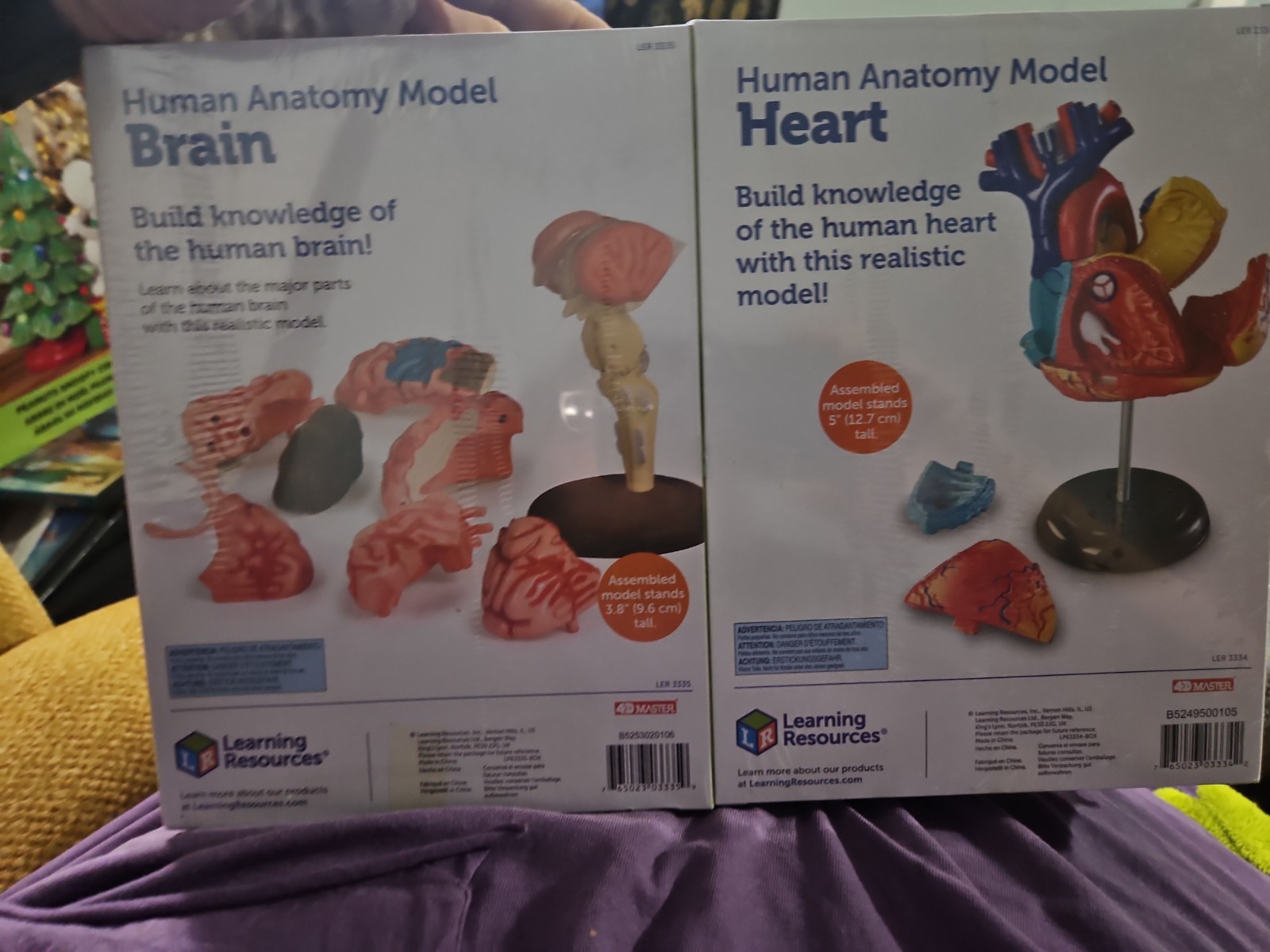 Learning Resources Anatomy Models Bundle Set Brain Body Heart Skeleton Classr…