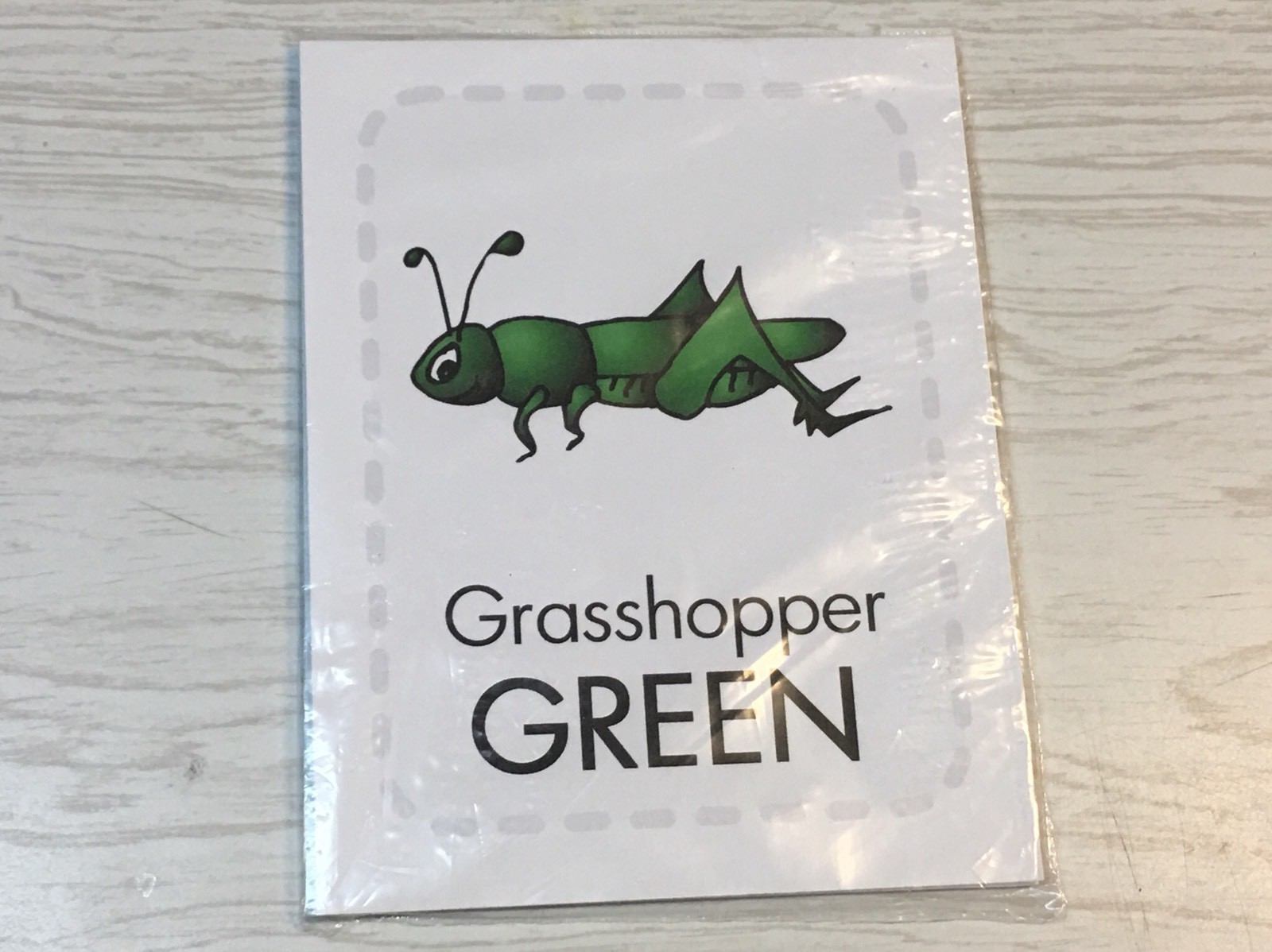 MY COLORS Preschool Flash Card set