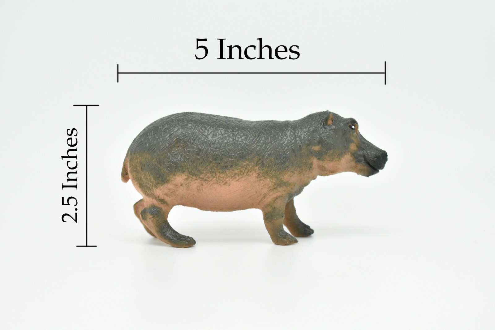 Hippo, Museum Quality, Toy, Plastic Replica, Hand Painted 5″ CWG183 BB44