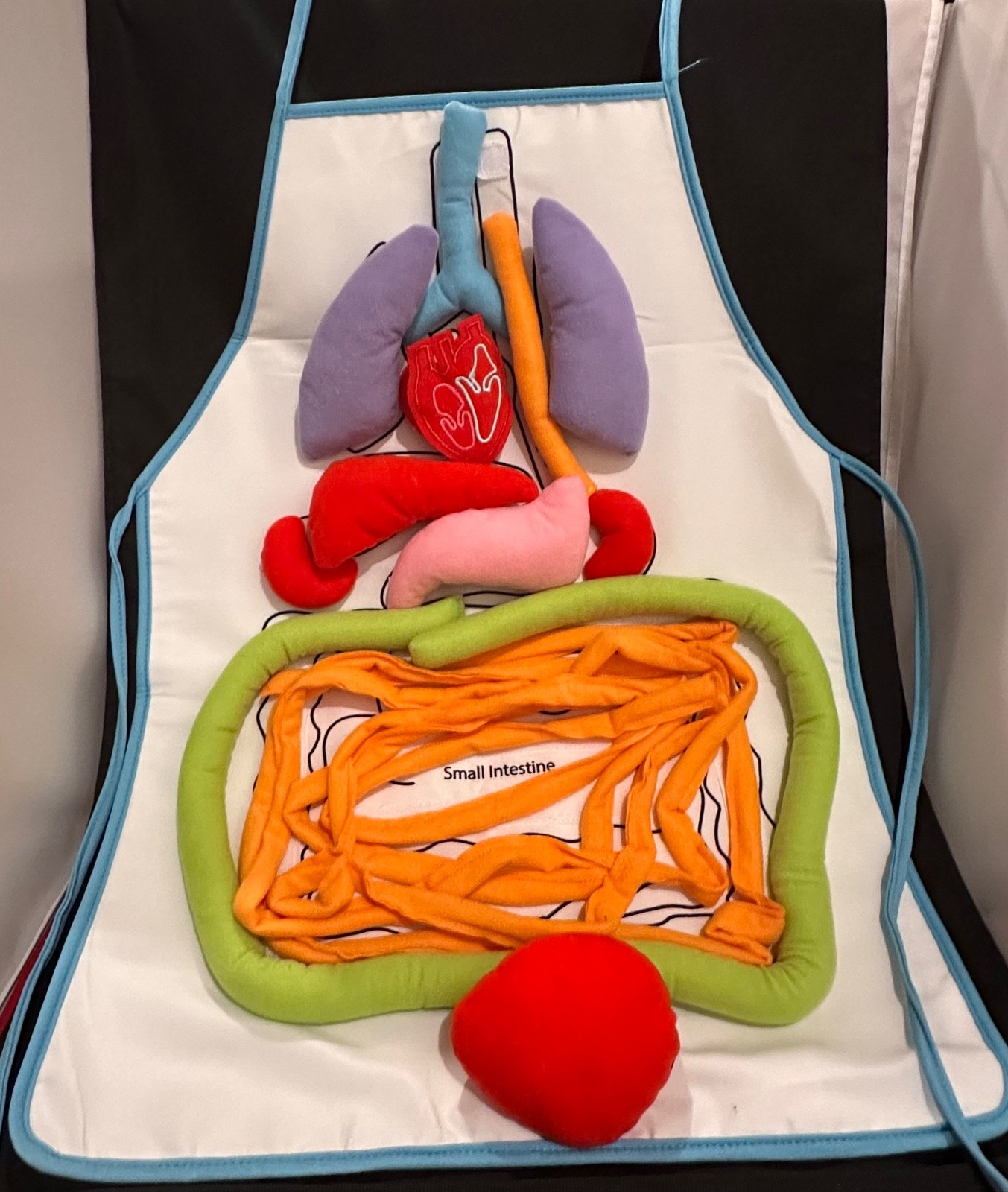 Children’s Human Body Learning Apron Plush w/ Removable Organs