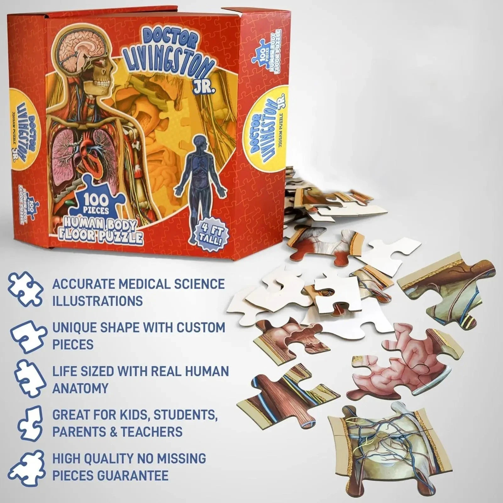 Human Anatomy 100 Piece Floor Jigsaw Puzzle, Unique Educational Science for Kids