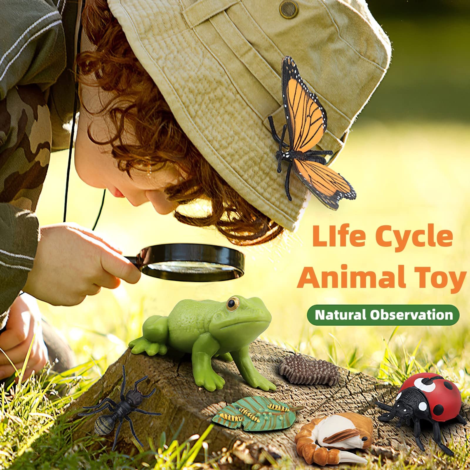 MIKNEKE Montessori Frog Life Cycle with Flash Cards, Plastic Insects Tadpole to