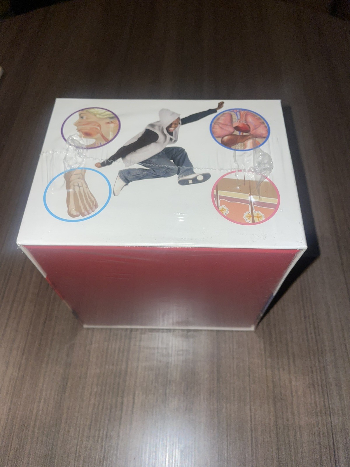 BODY EDUCATIONAL BOARD GAME HEALTH GAME by bodyIQ