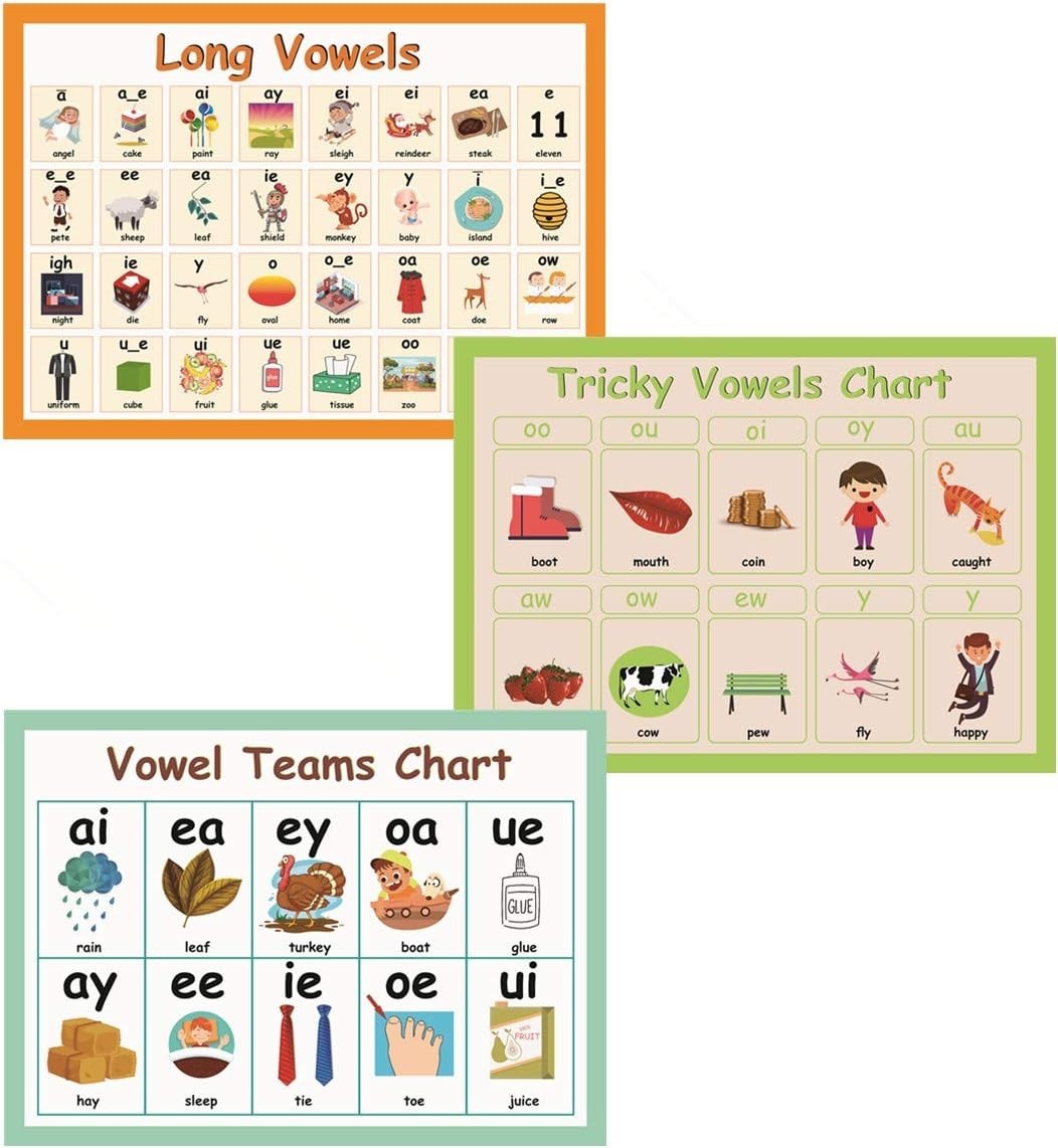 11Pcs/Set English Phonics Language Arts Skills Charts for Kids L Classroom Decor