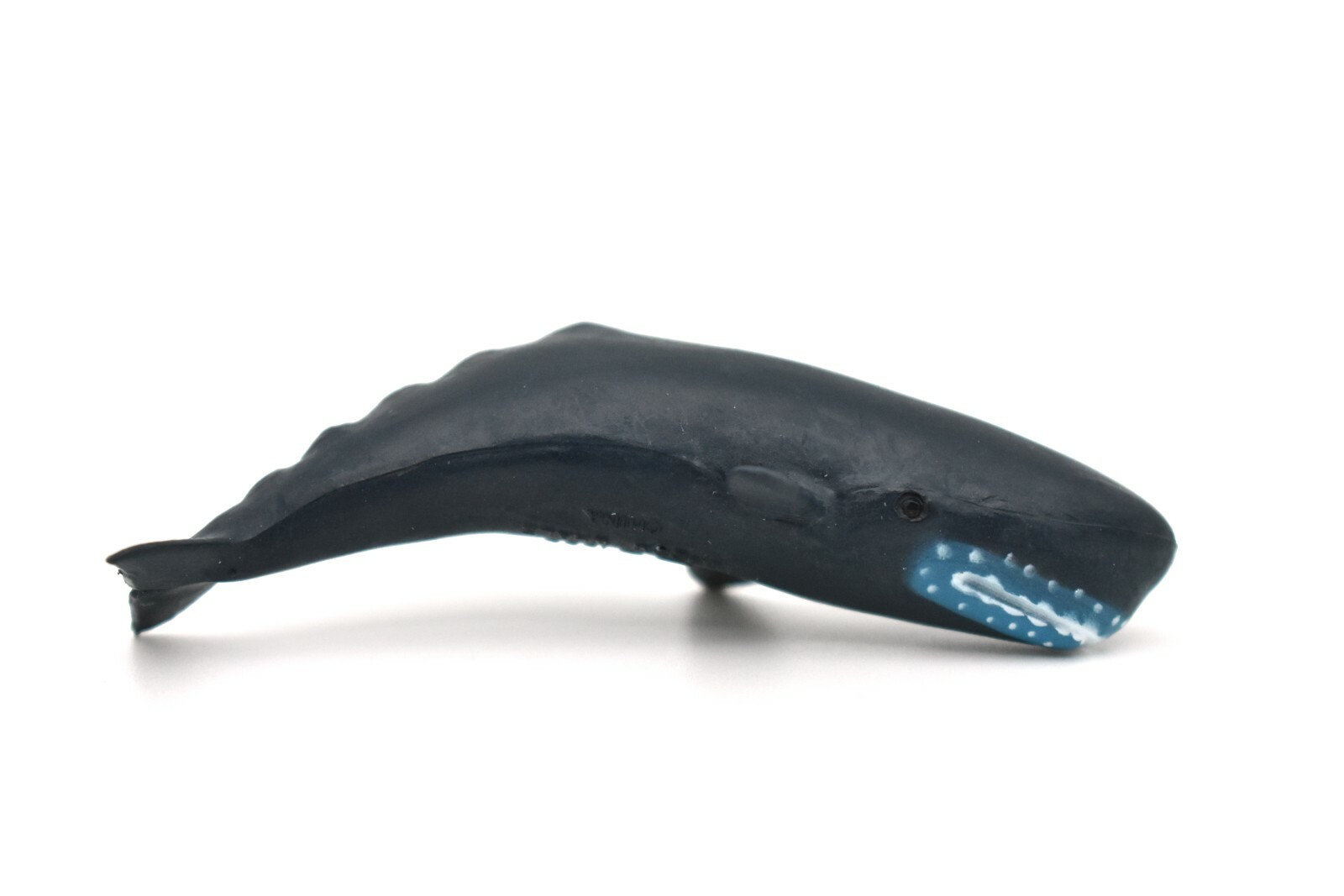 Sperm Whale, Very Nice Plastic Replica 3″ F1007 B42