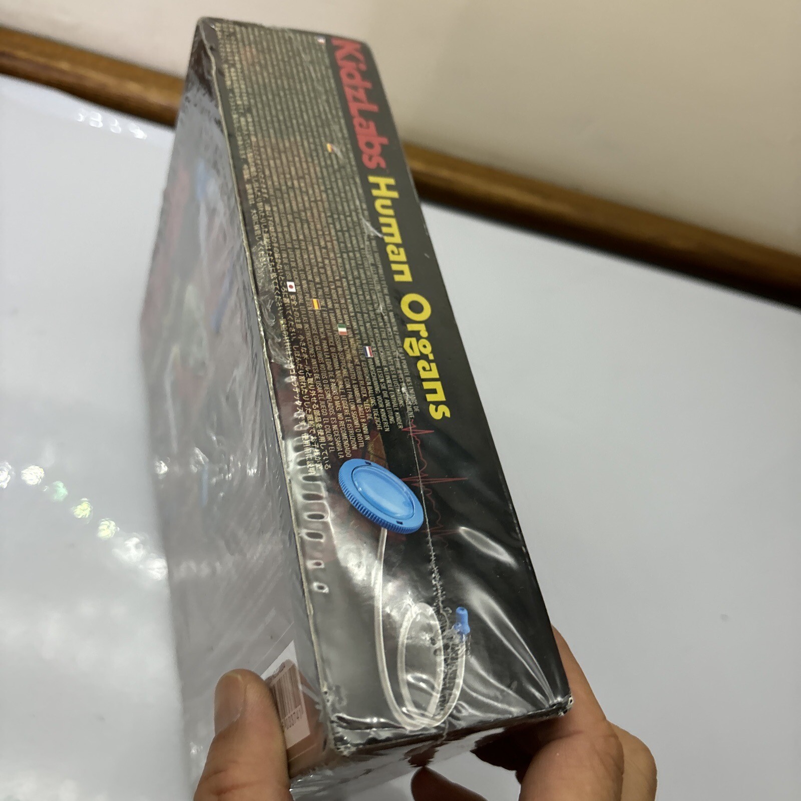 KidzLabs – Human Organs Models *New Sealed*