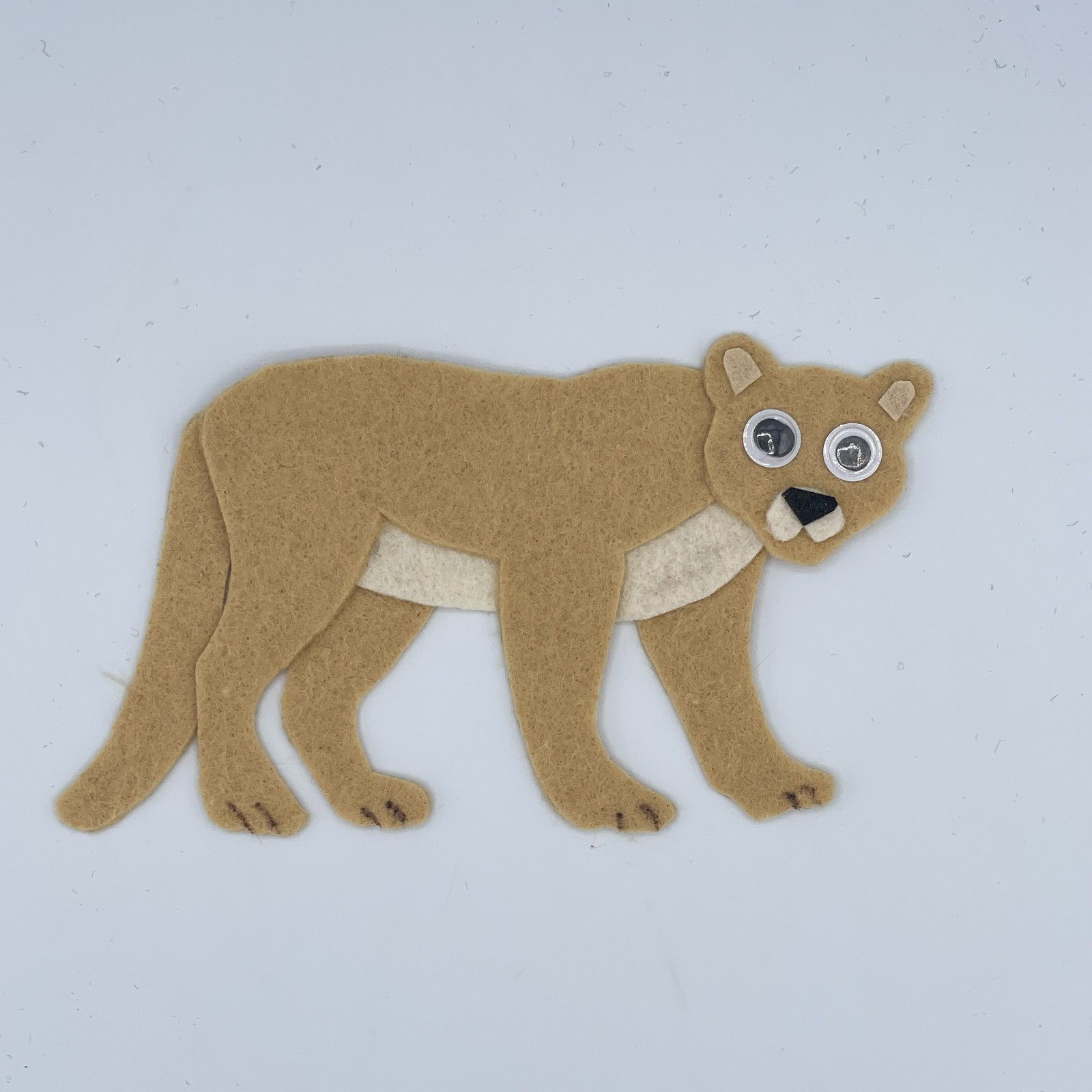 Nocturnal Animals Felt Story Set