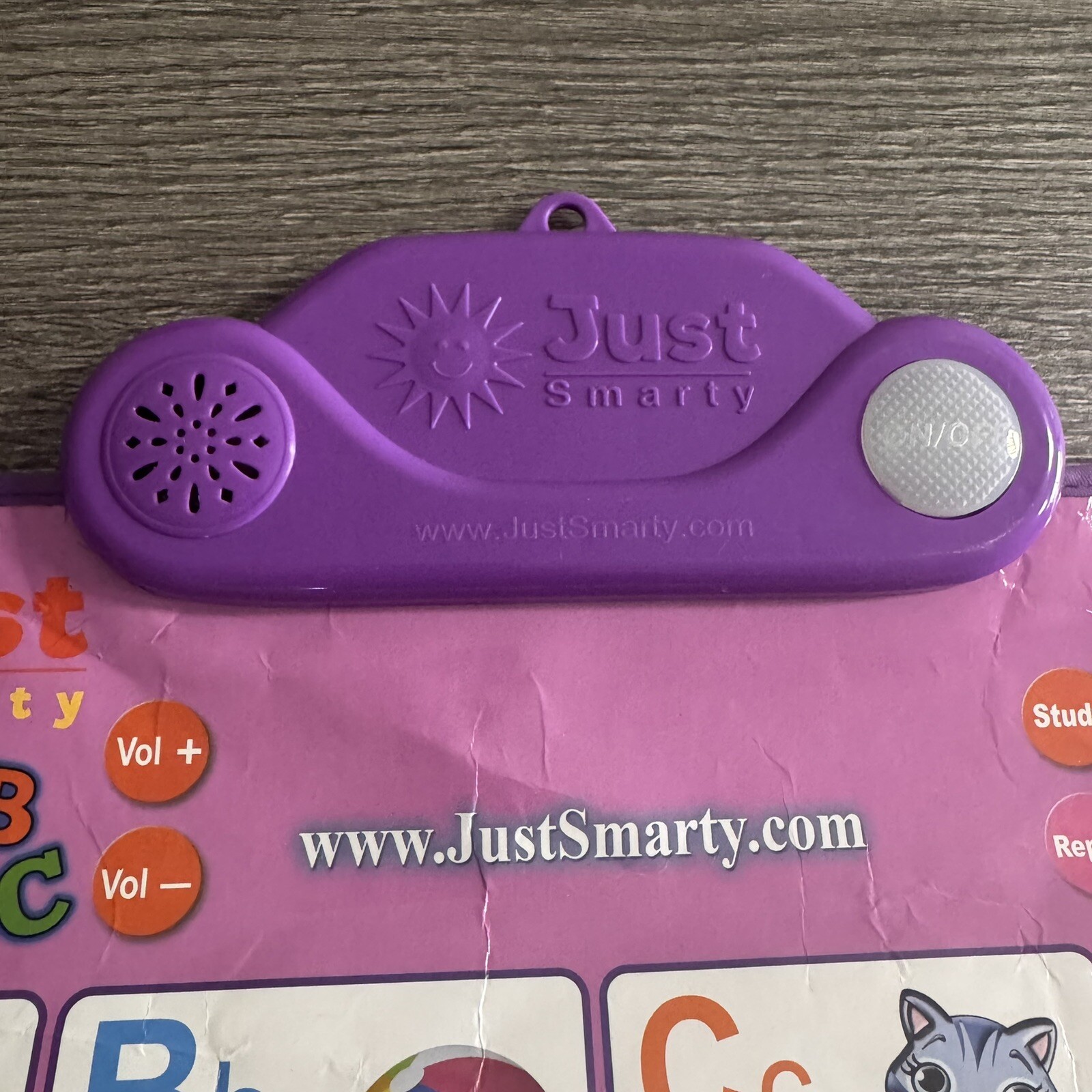 Just Smarty Electronic Interactive Alphabet Wall Chart Talking ABC’s/123’s