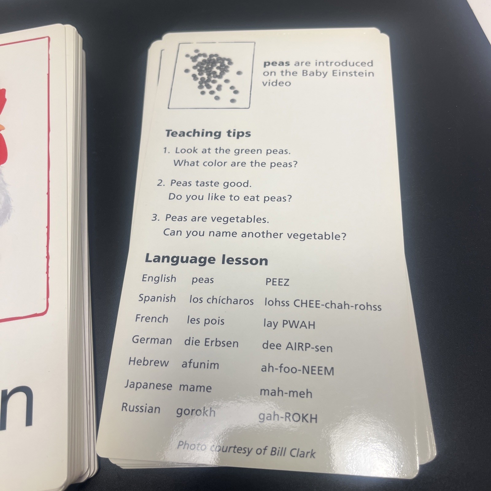 Baby Einstein Language Discovery Cards Educational Cards for Babies Set of 29