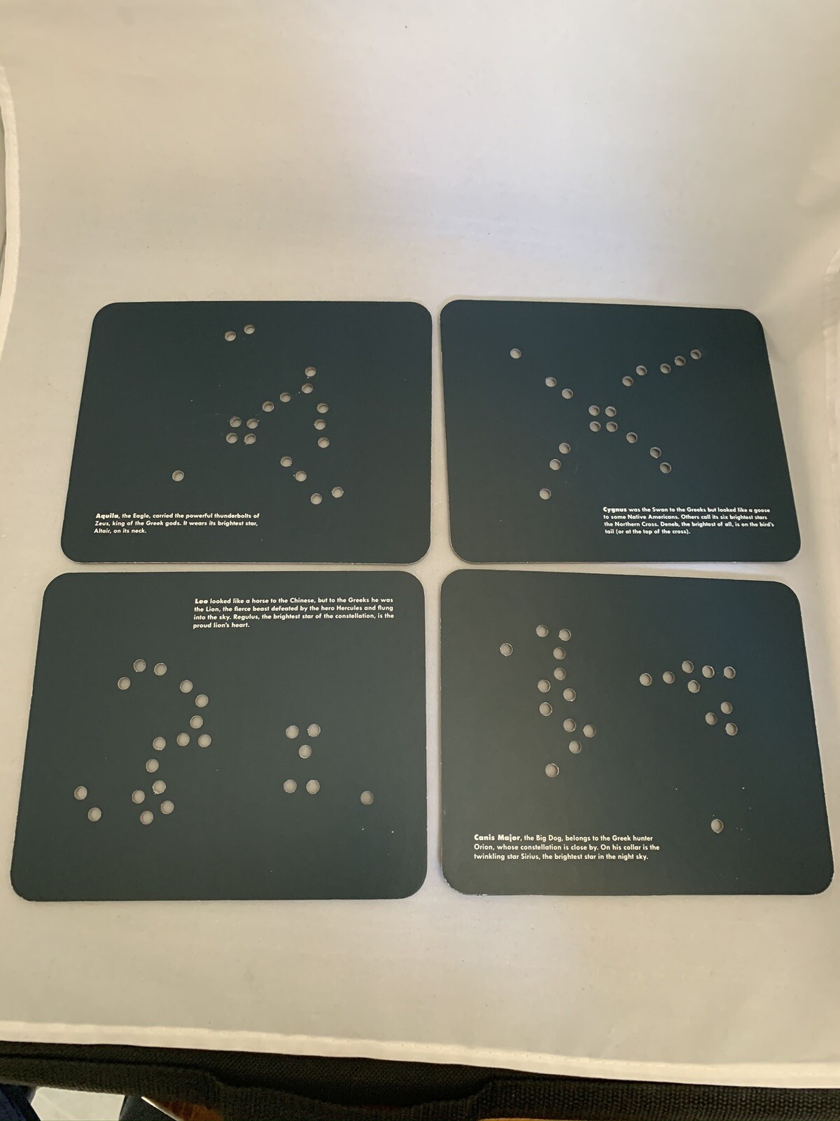 ANIMALS IN THE STARS LACING CARDS / glow in the dark / Chronicle Books I1