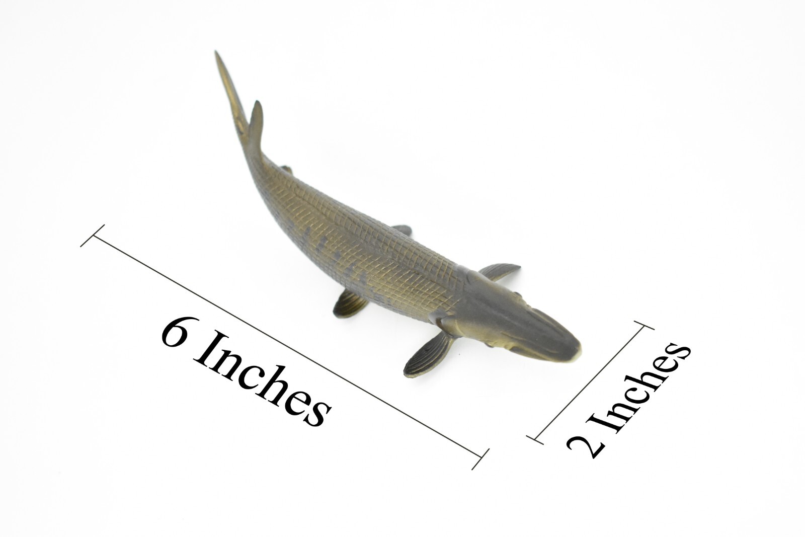 Alligator Gar, Fish Replica, Very Realistic Rubber Model, Hand Painted Toy 6″