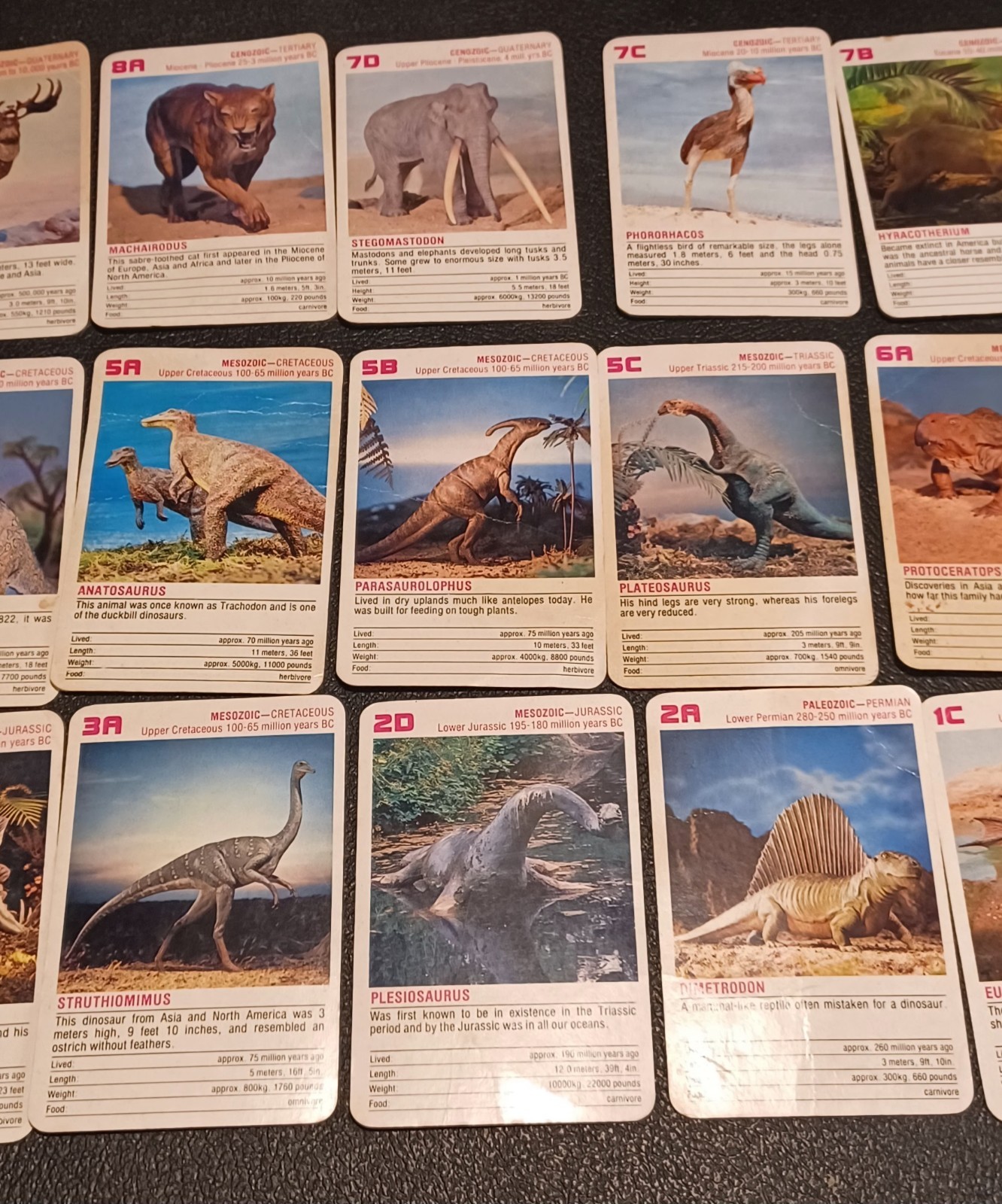 2 Sets / Vtg 60+ DINOSAURS Flash Cards Identification Cards Learning Teaching -Z