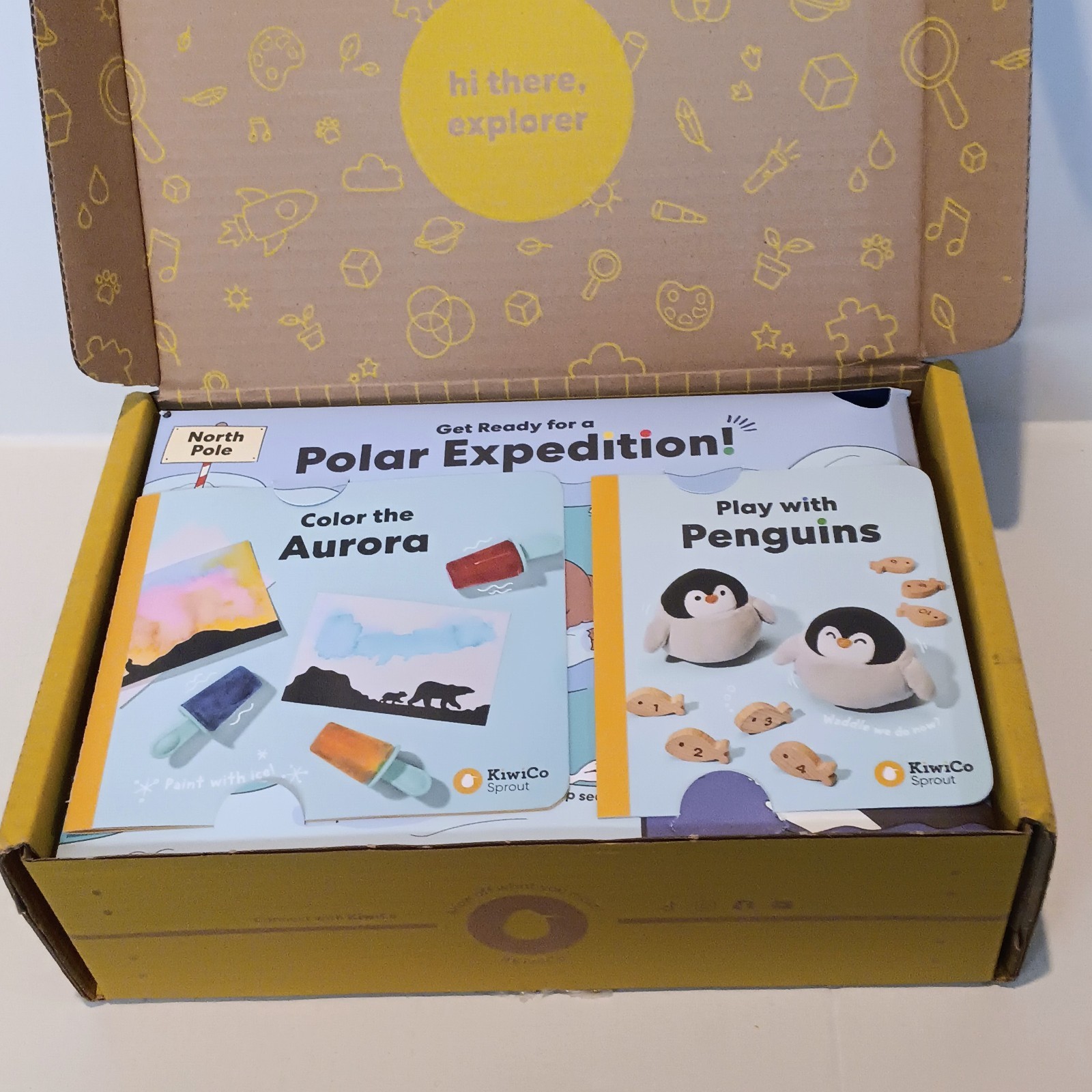 Kiwi Co Sprout Polar Expedition Activity Box-Color The Auroras-Play With Penguin