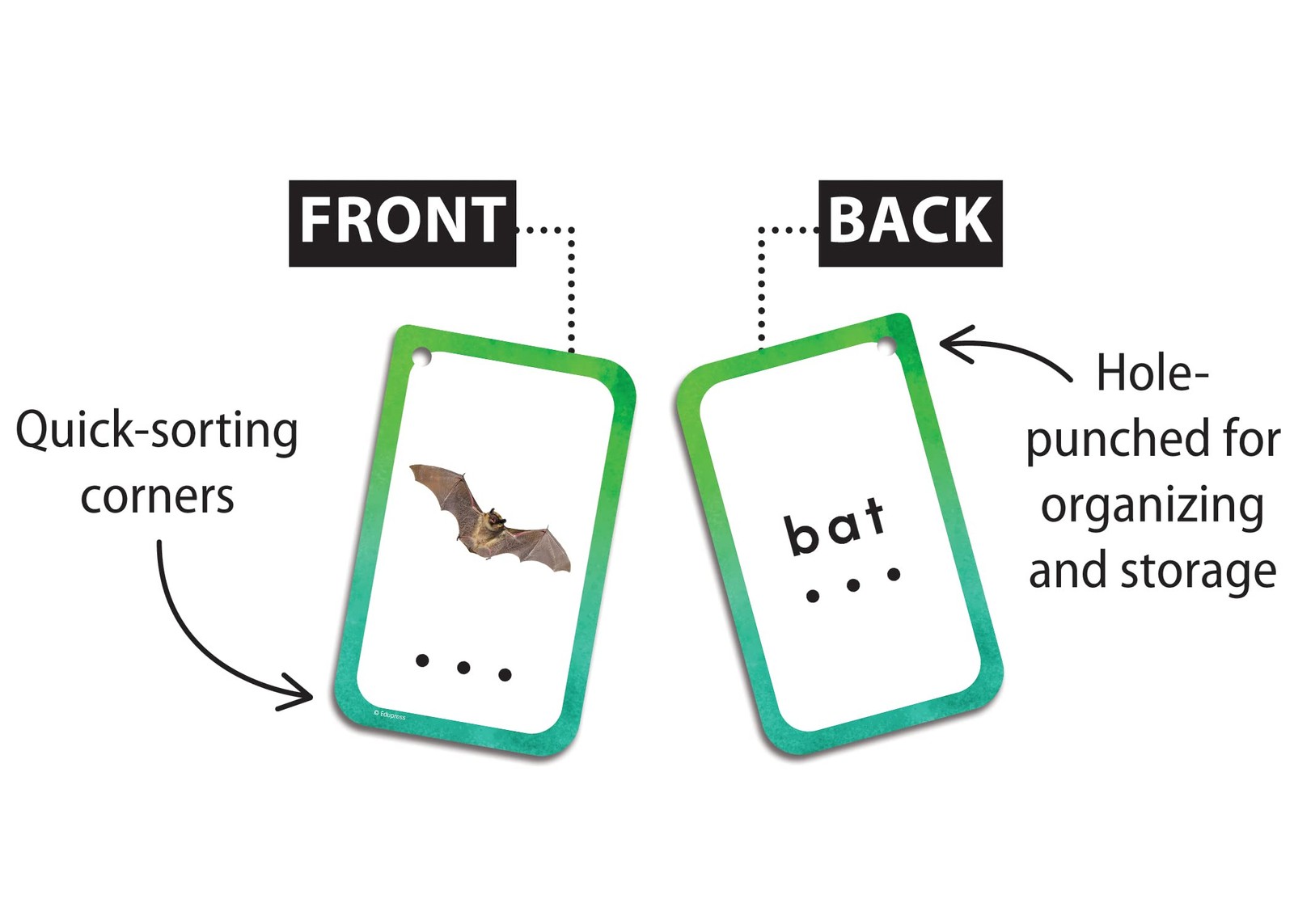 Medium Multi Flash Card Set with Sound Buttons for Learning and Teaching Ages 4+