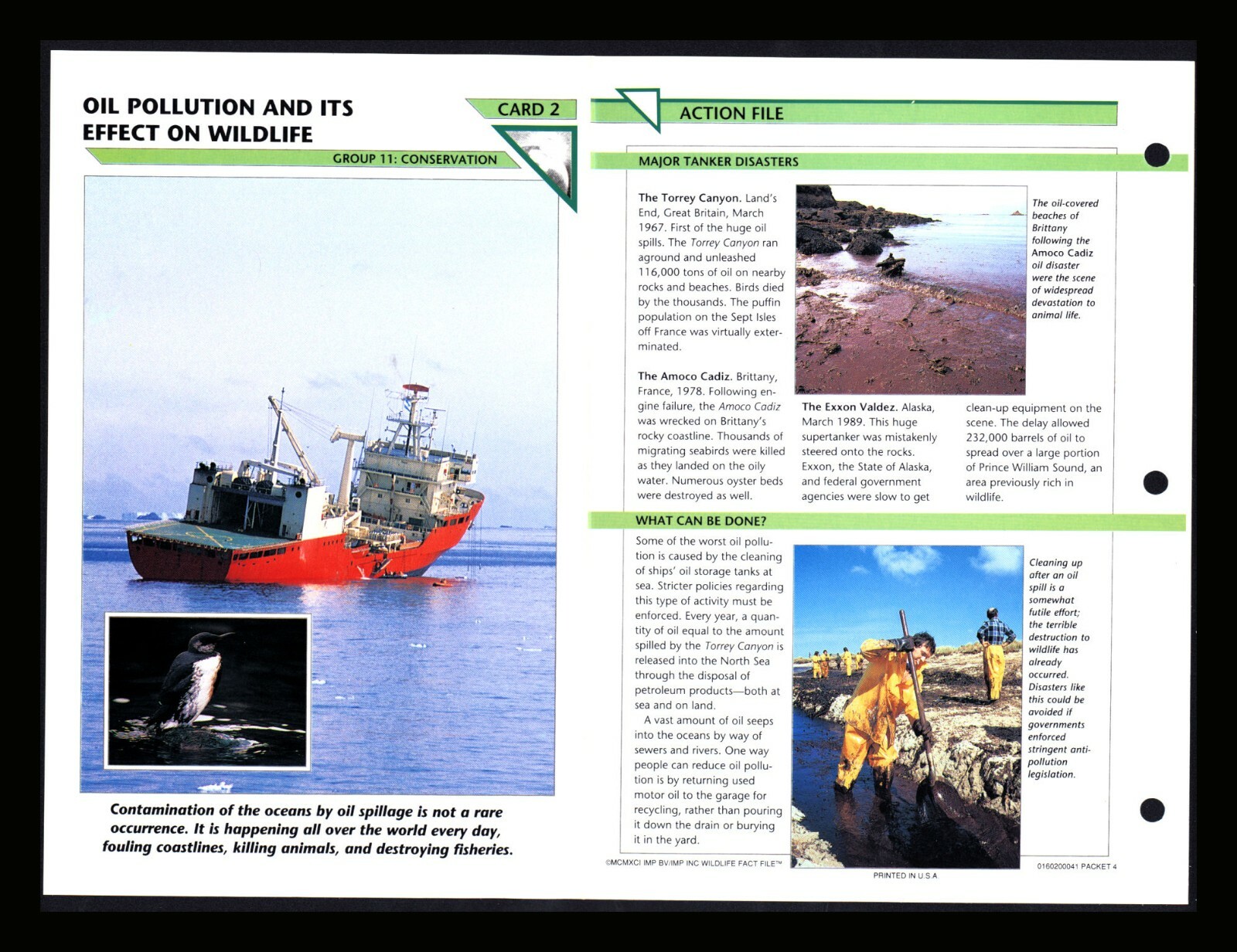 Oil Pollution & Its Effect Wildlife Fact File Card Conservation Home School 11.2
