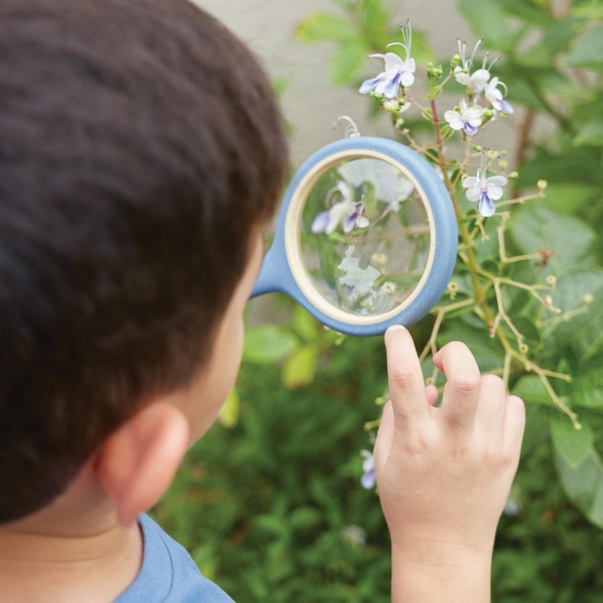 Kaplan Early Learning Set of 4 All-Weather Magnifying Glass