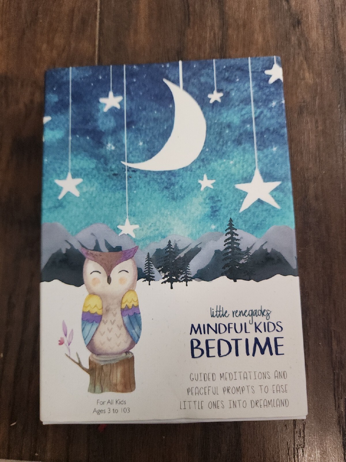 Little Renegades Mindful Kids BEDTIME “Guided Meditations & Peaceful Prompts”