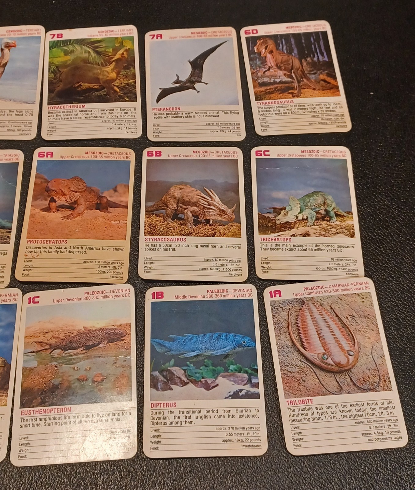 2 Sets / Vtg 60+ DINOSAURS Flash Cards Identification Cards Learning Teaching -Z